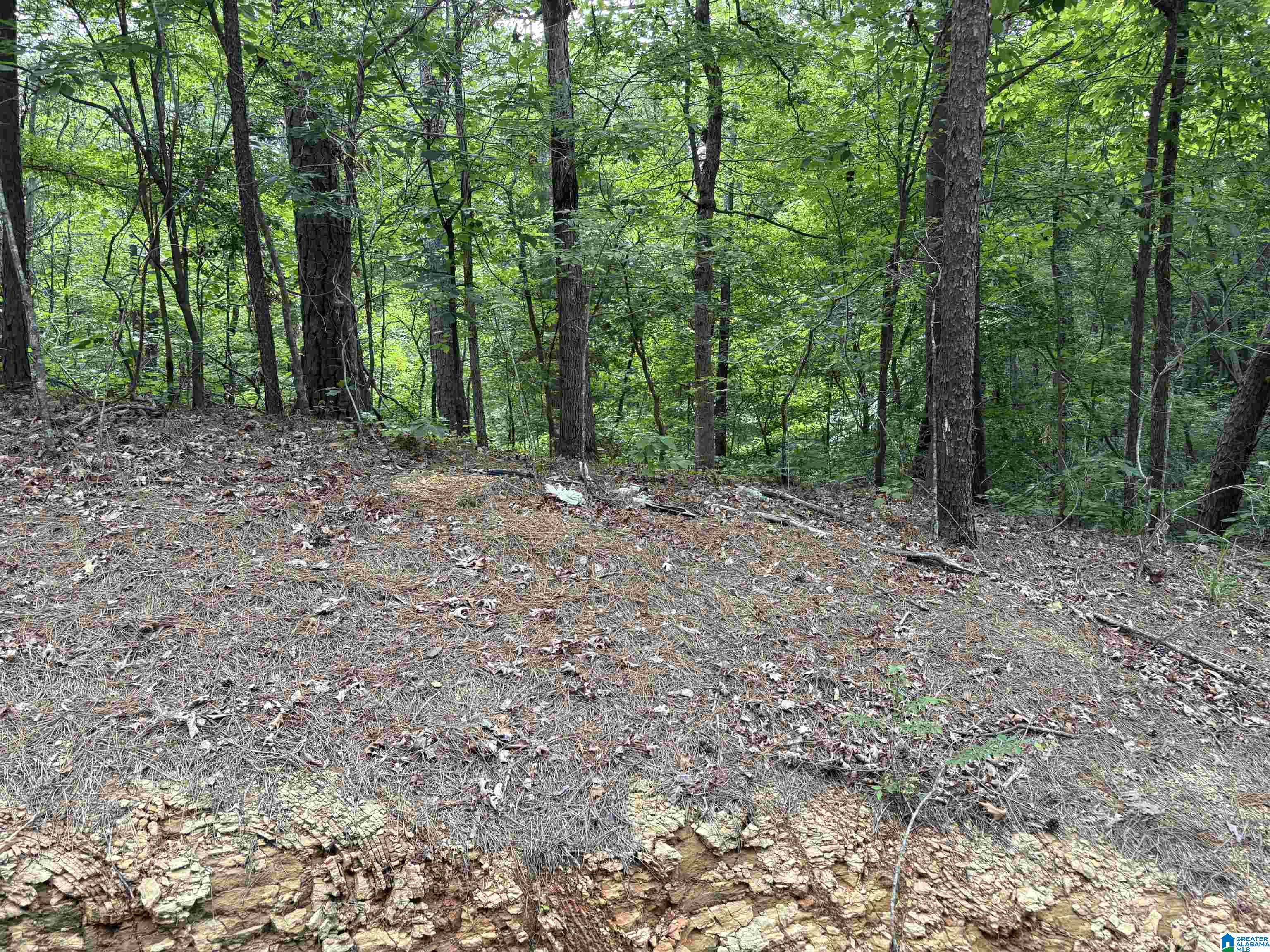 Homes for sale in Mccalla, AL | Lot 23 Teddy Dr, Mccalla, AL 35111 | MLS# 21453460