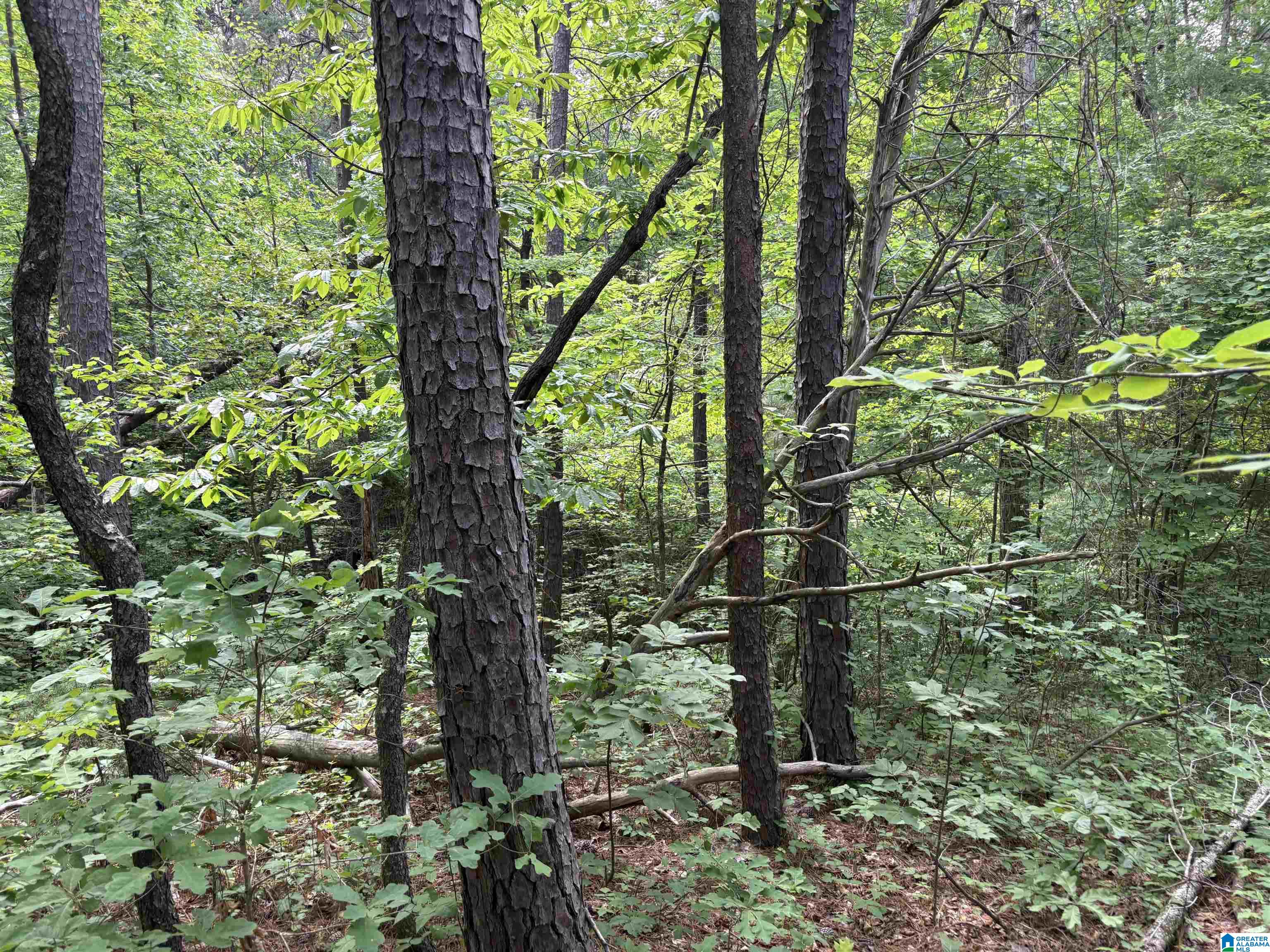 Homes for sale in Mccalla, AL | Lot 23 Teddy Dr, Mccalla, AL 35111 | MLS# 21453460