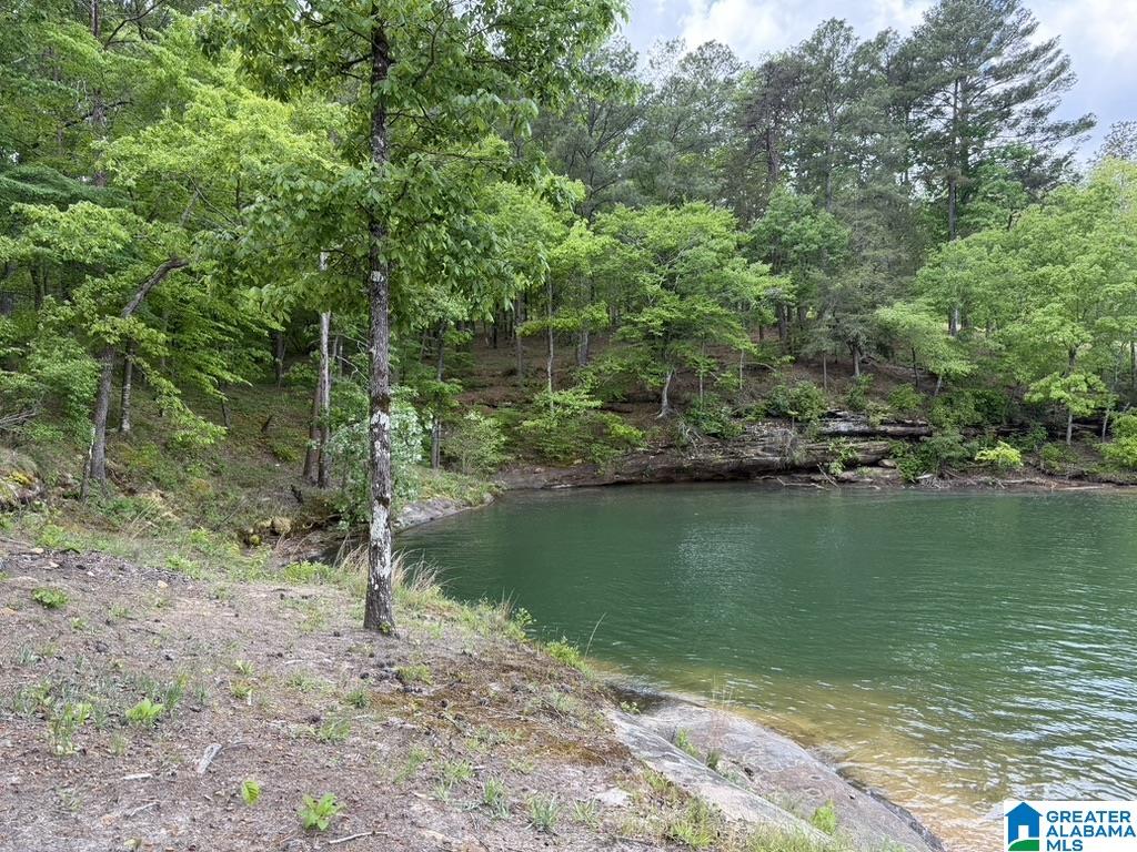Homes for sale in Double Springs, AL | 41 Amanda'S Way, Double Springs, AL 35553 | MLS# 21453513