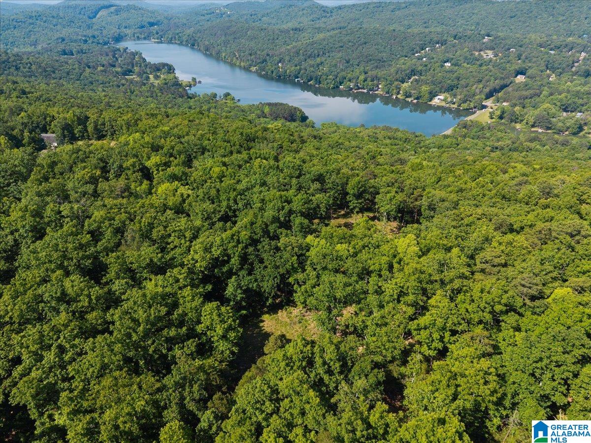 1st image of 8924 Pine Mountain Road, Pinson, AL 35126 | MLS# 21453521