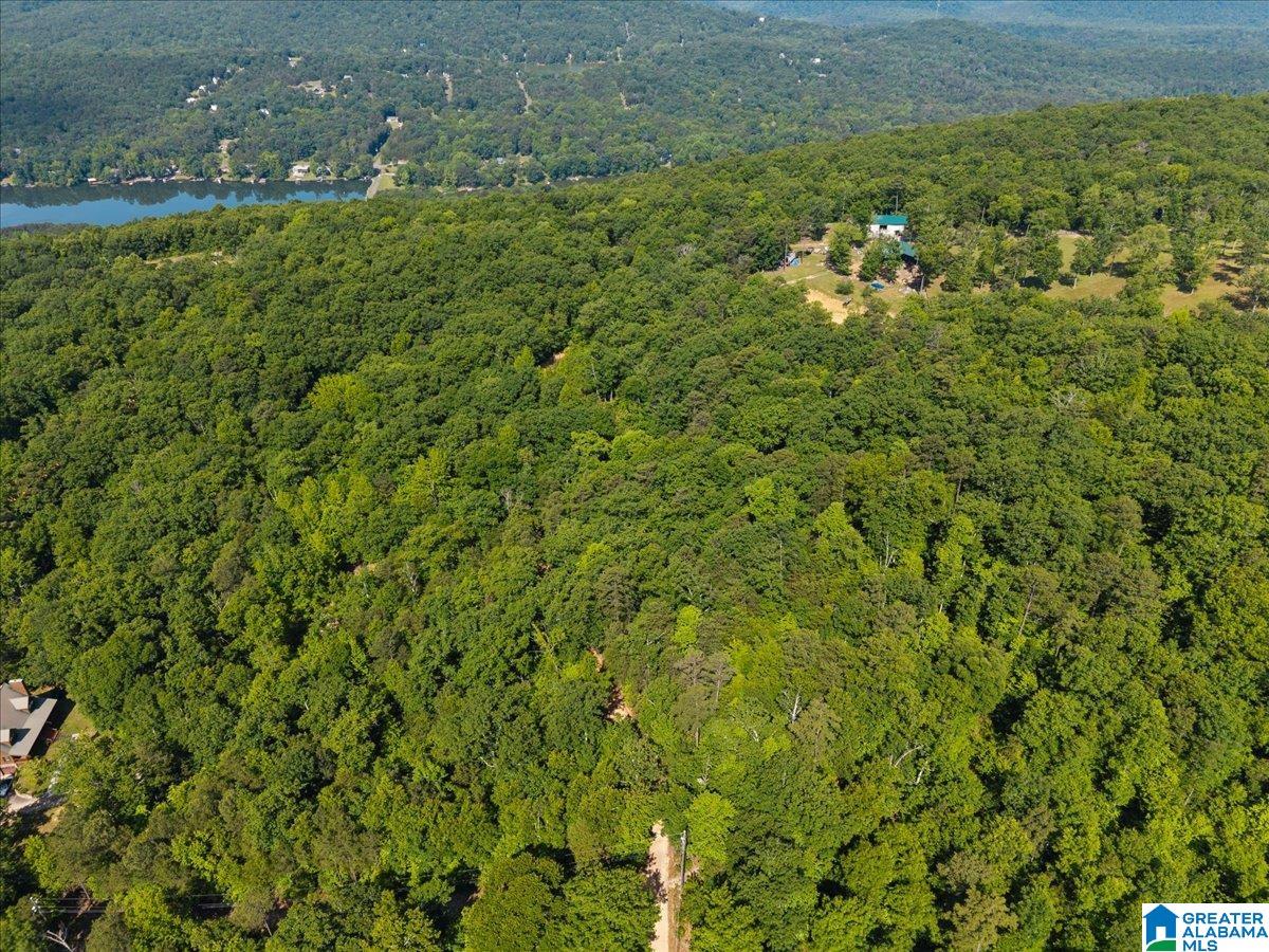 3rd image of 8924 Pine Mountain Road, Pinson, AL 35126 | MLS# 21453521