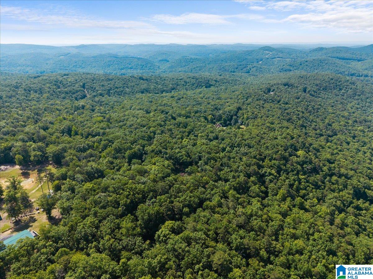 4th image of 8924 Pine Mountain Road, Pinson, AL 35126 | MLS# 21453521