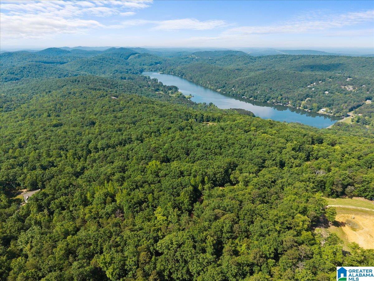 5th image of 8924 Pine Mountain Road, Pinson, AL 35126 | MLS# 21453521