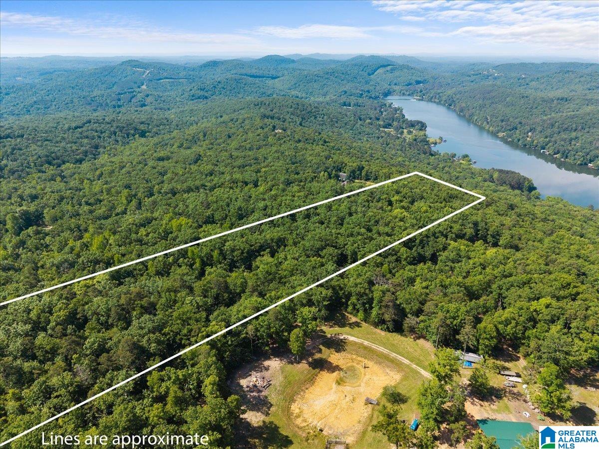 6th image of 8924 Pine Mountain Road, Pinson, AL 35126 | MLS# 21453521