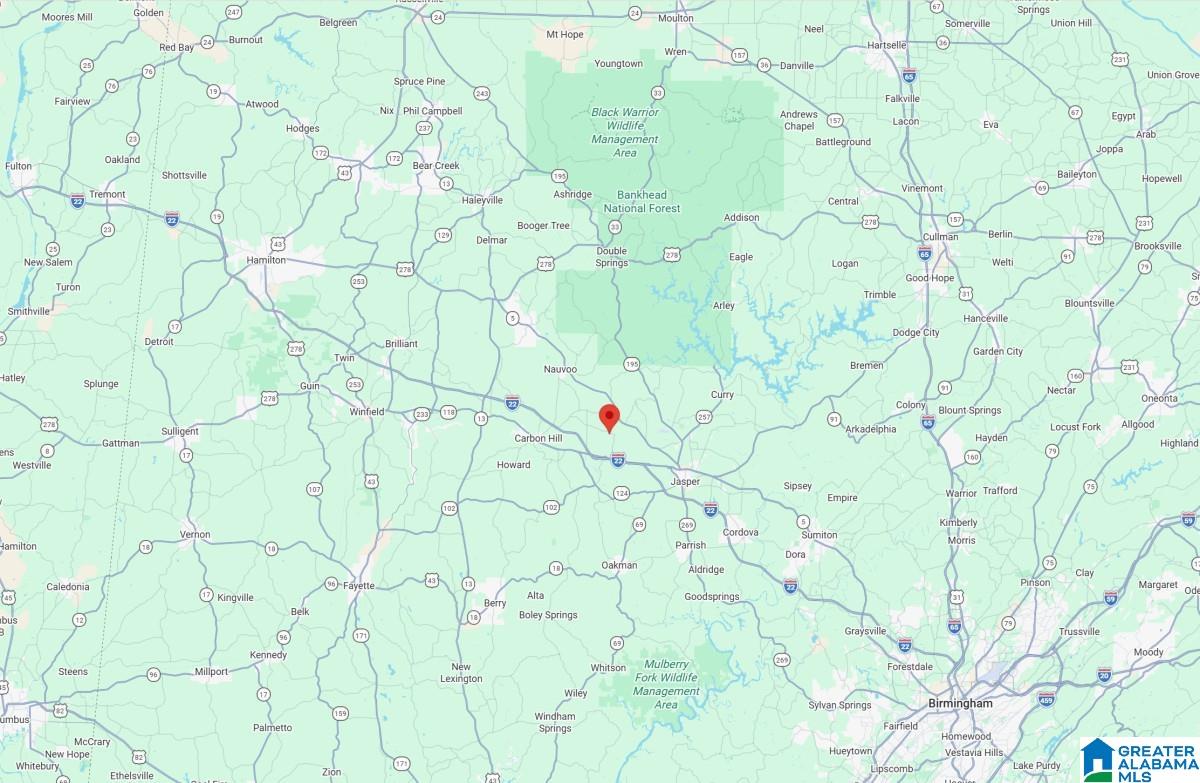 Homes for sale in Nauvoo, AL | 0 Redmill Saragossa Road, Nauvoo, AL 35578 | MLS# 21453530