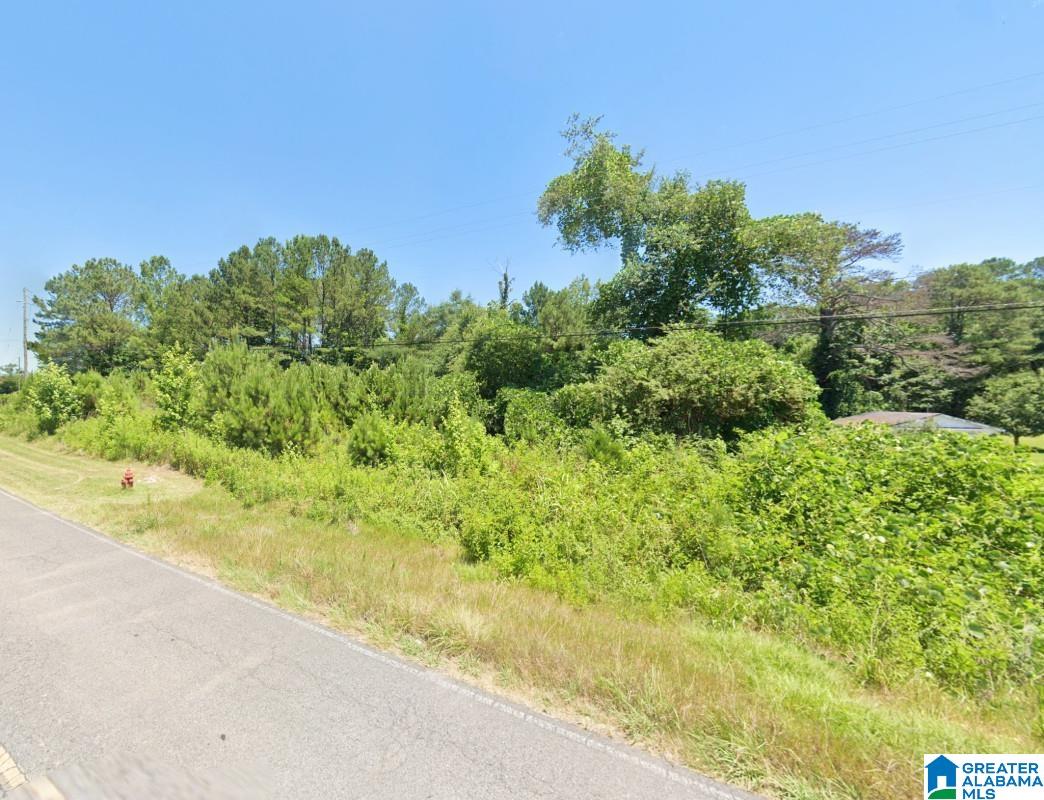 Homes for sale in Nauvoo, AL | 0 Redmill Saragossa Road, Nauvoo, AL 35578 | MLS# 21453530