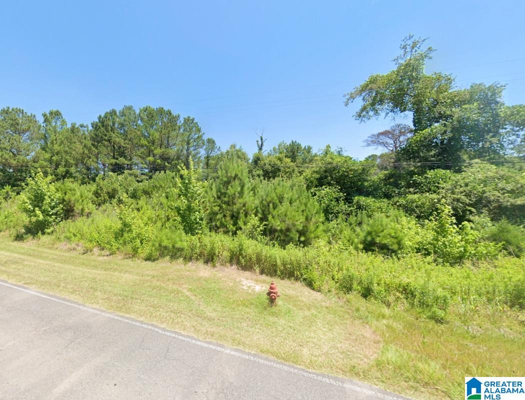 Homes for sale in Nauvoo, AL | 0 Redmill Saragossa Road, Nauvoo, AL 35578 | MLS# 21453530