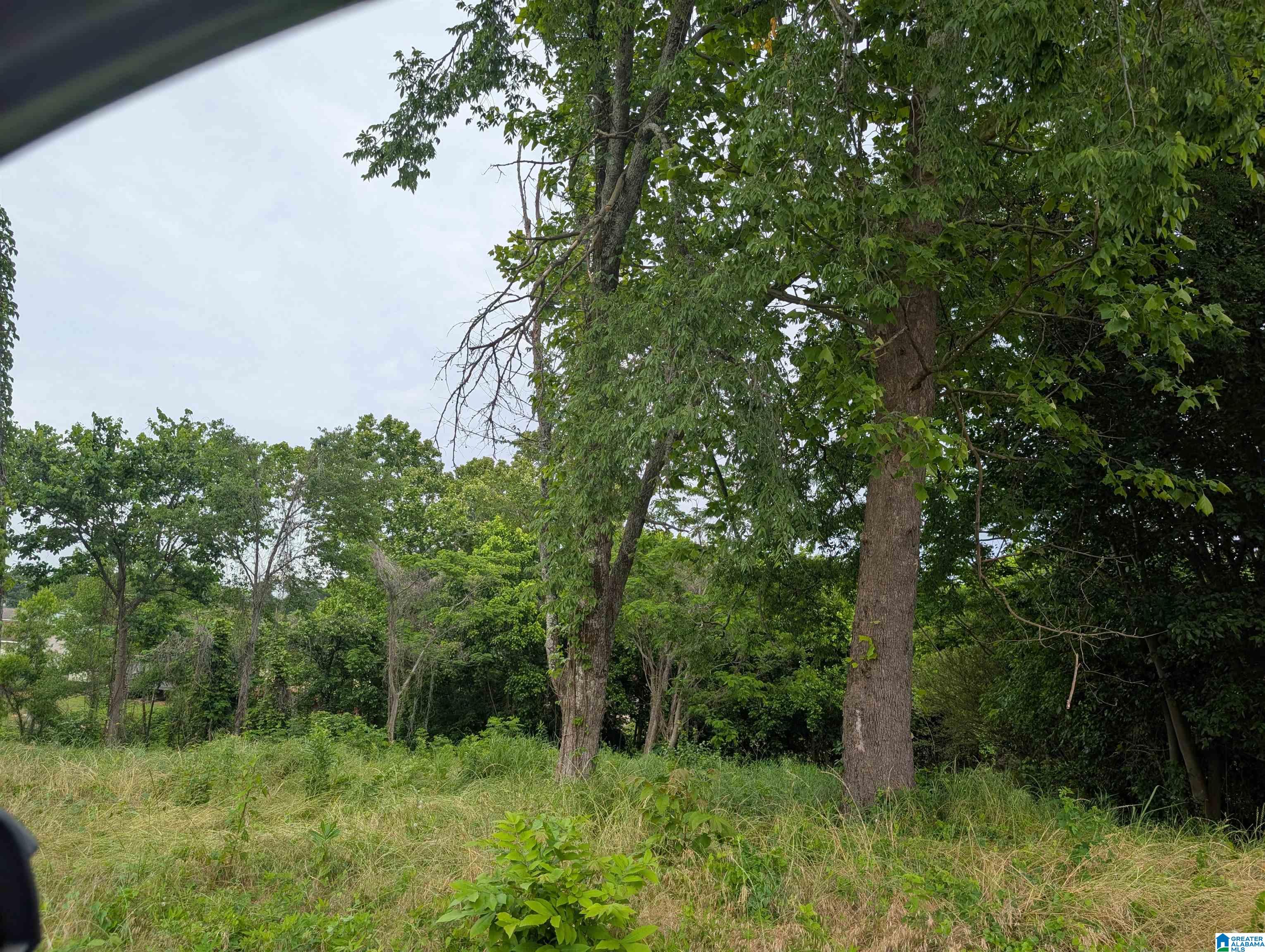Land for sale at 719 Spring St, BIRMINGHAM, AL 35214 | MLS# 21453630
