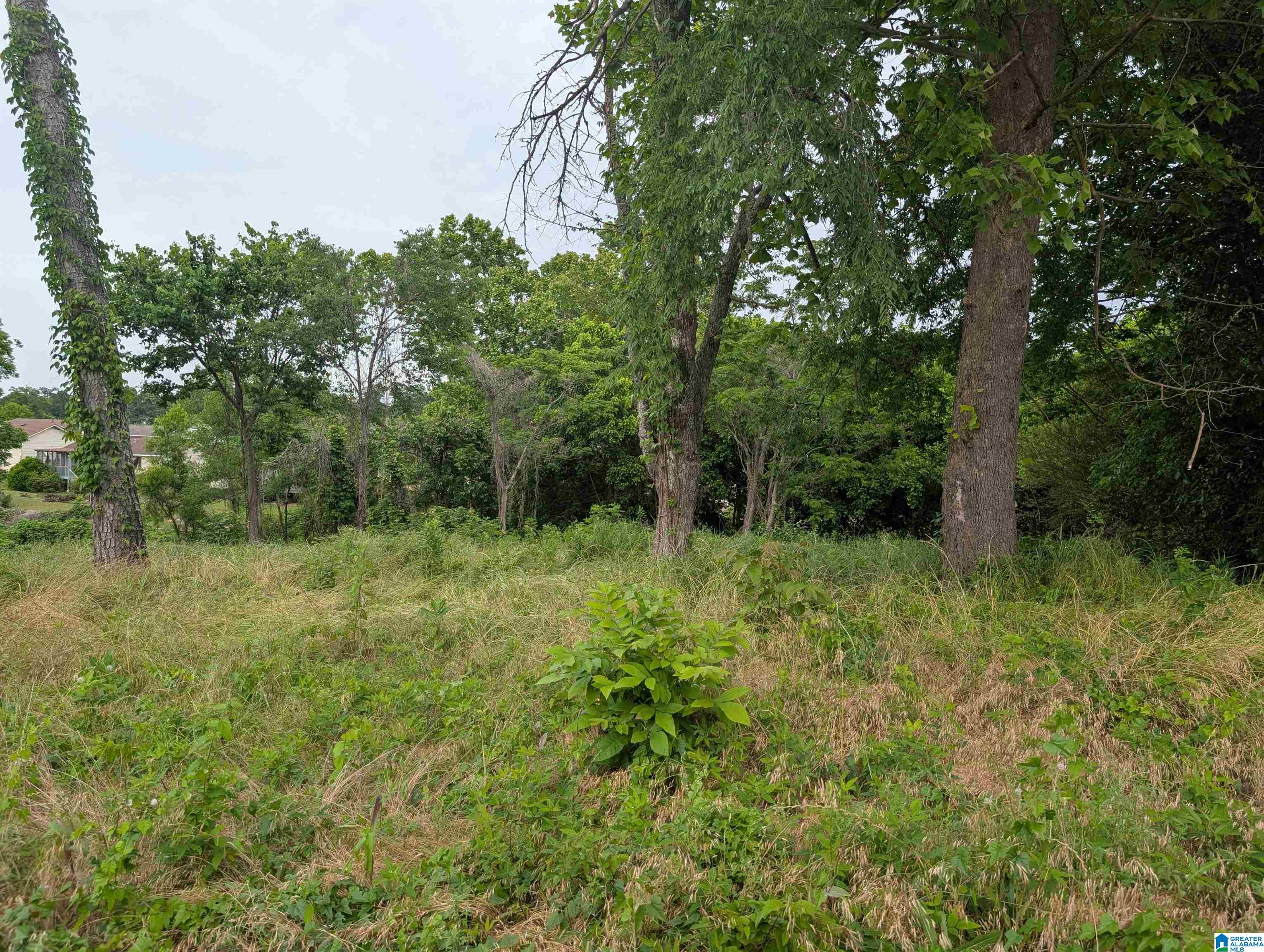 Photo 2 of Land for sale at 719 Spring St, Birmingham, AL 35214 | MLS# 21453630 | Listing updated on 2026-05-21