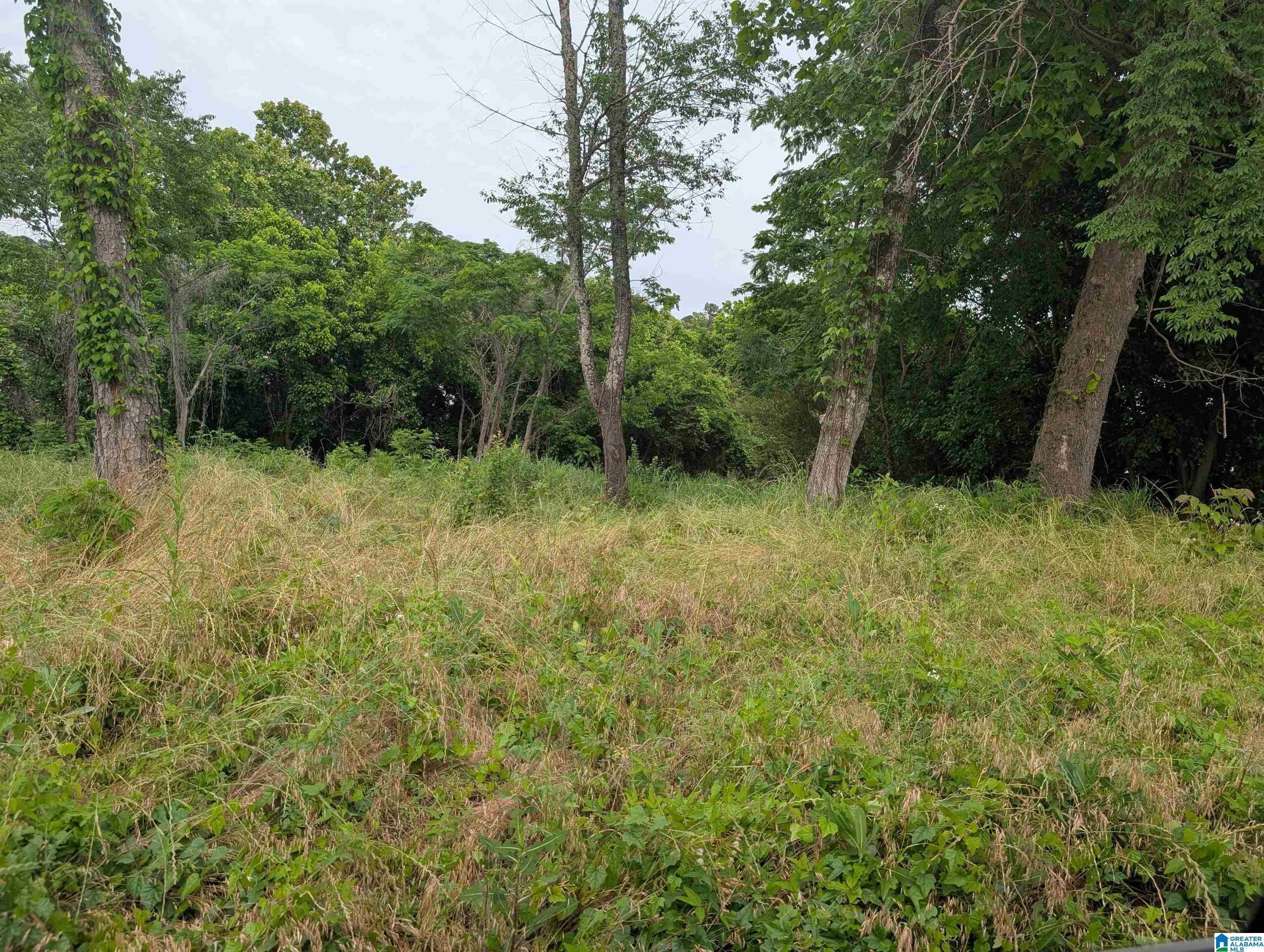 Photo 3 of Land for sale at 719 Spring St, Birmingham, AL 35214 | MLS# 21453630 | Listing updated on 2026-05-21
