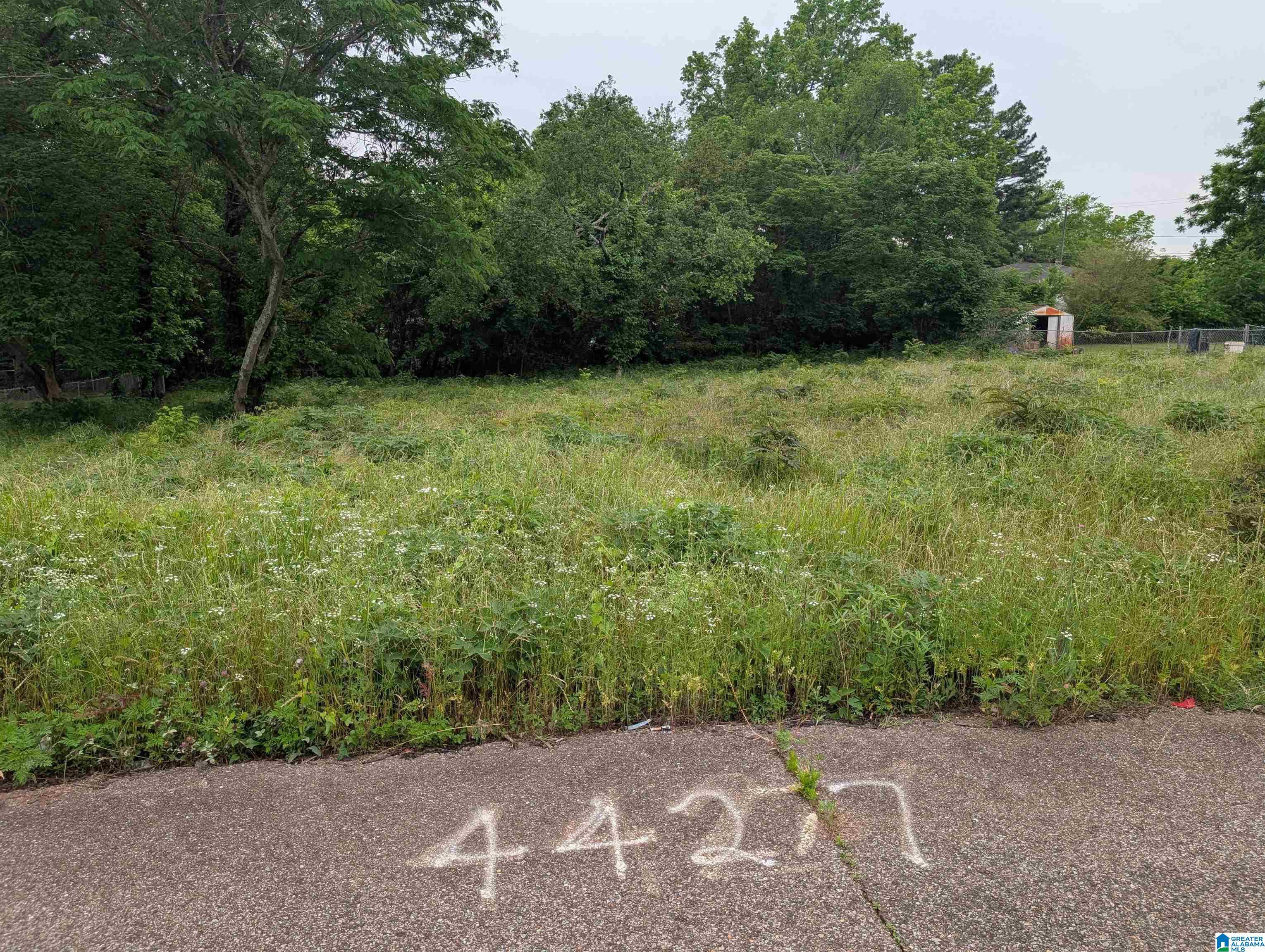 Photo 3 of Land for sale at 4427 Carver Ave Sw, Birmingham, AL 35221 | MLS# 21453631 | Listing updated on 2026-06-06