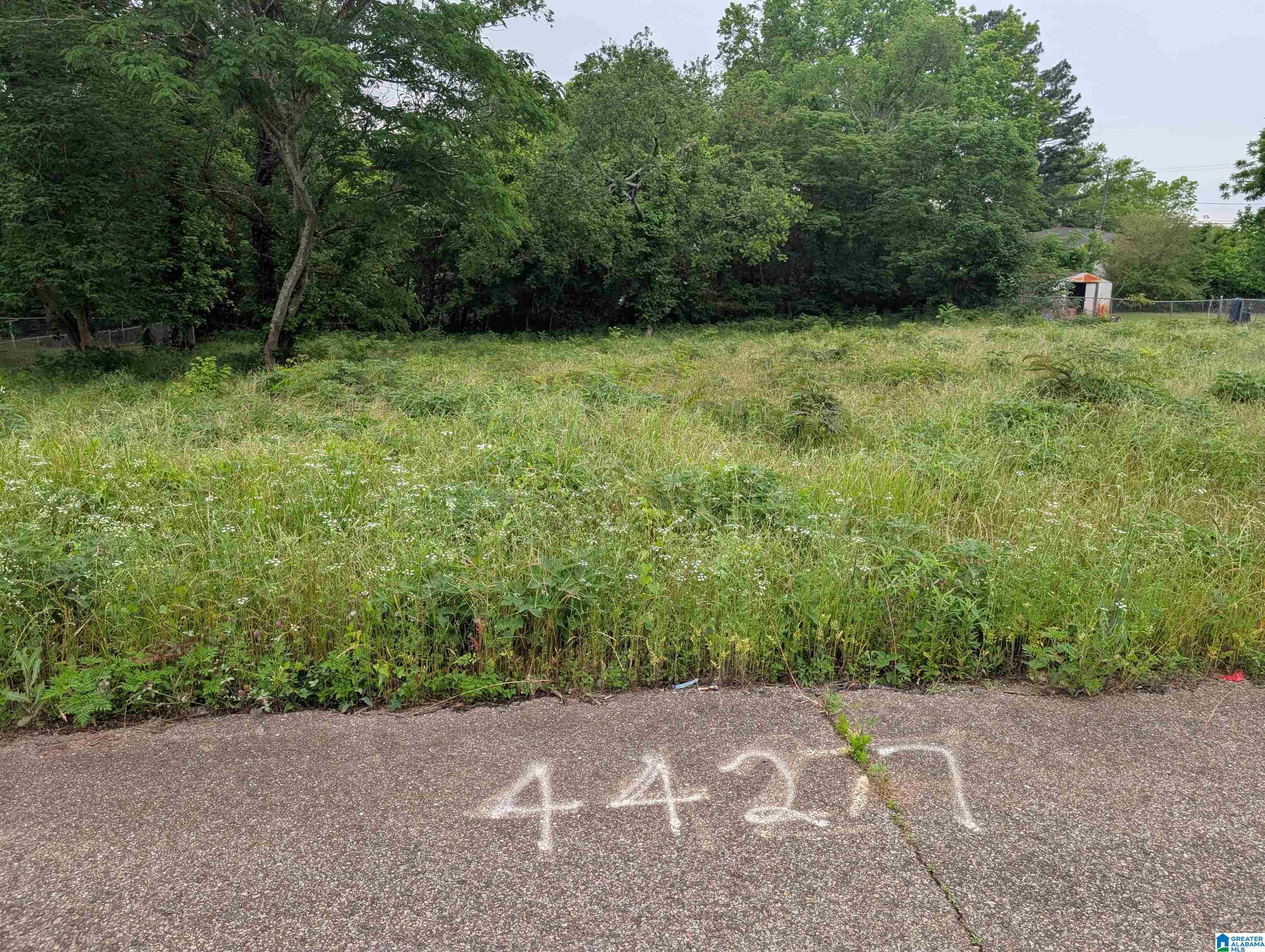 Photo 3 of Land for sale at 4427 Carver Ave SW, Birmingham, AL 35221 | MLS# 21453631 | Listing updated on 2026-06-06
