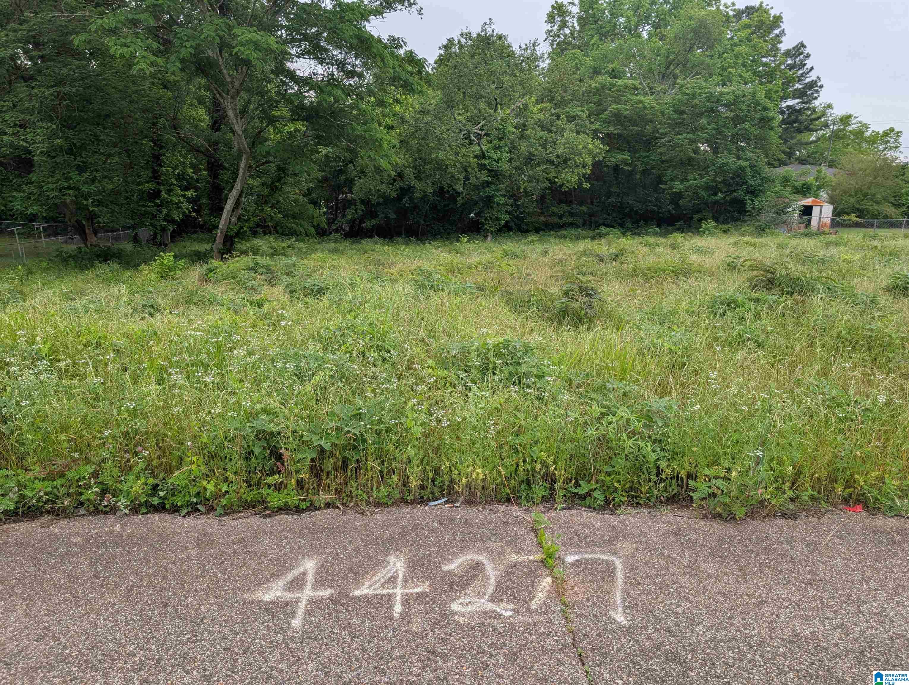 Photo 4 of Land for sale at 4427 Carver Ave SW, Birmingham, AL 35221 | MLS# 21453631 | Listing updated on 2026-06-06