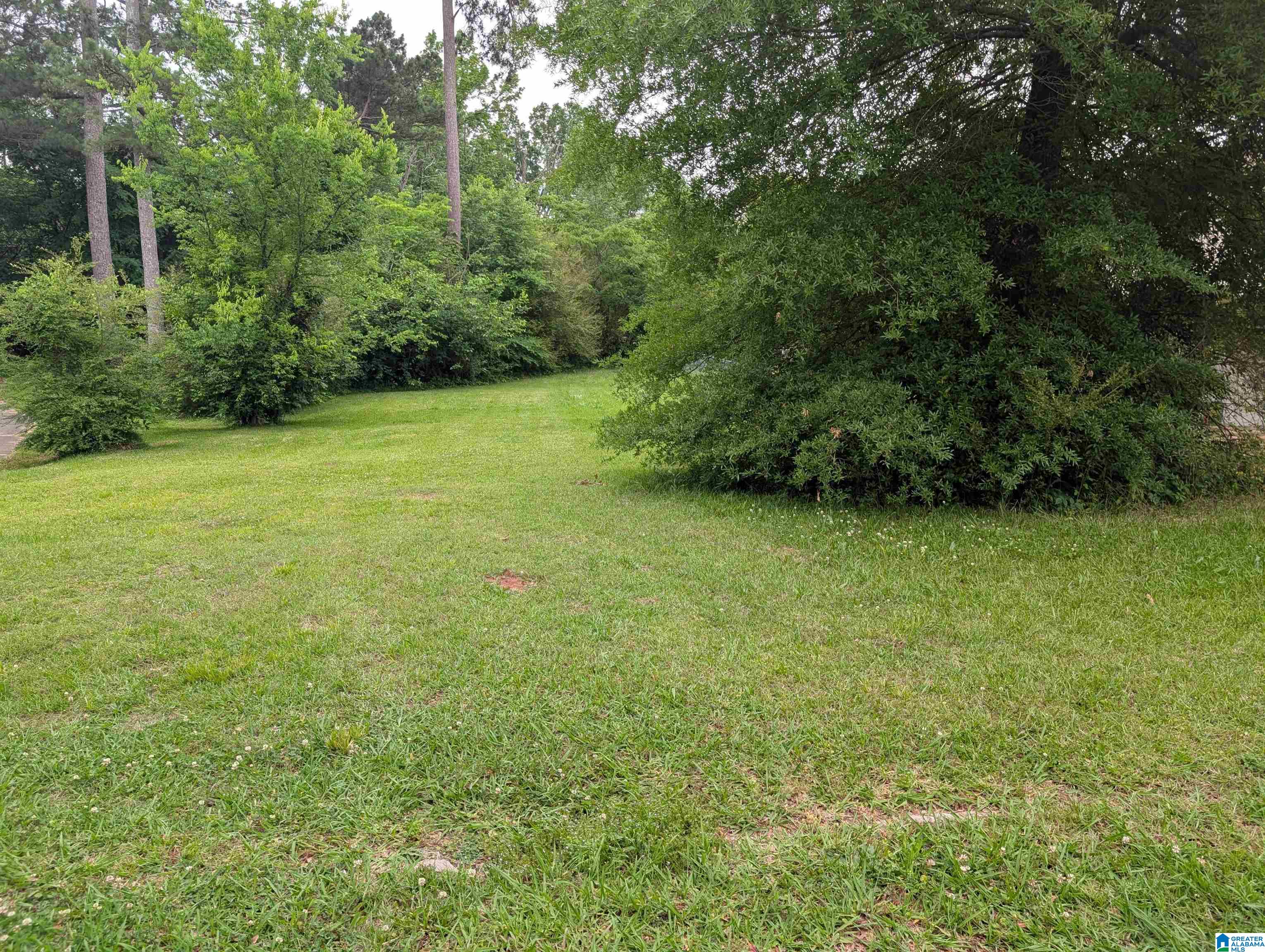 Photo 1 of Land for sale at 438 Elm St Sw, Bessemer, AL 35022 | MLS# 21453632 | Listing updated on 2026-05-21