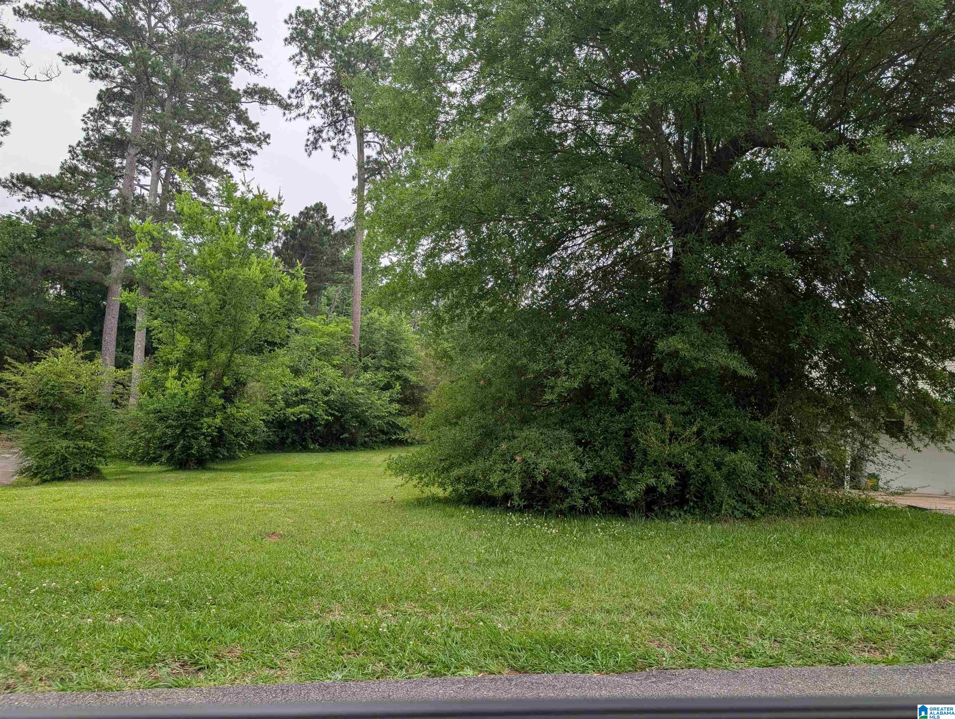 Photo 3 of Land for sale at 438 Elm St Sw, Bessemer, AL 35022 | MLS# 21453632 | Listing updated on 2026-05-21