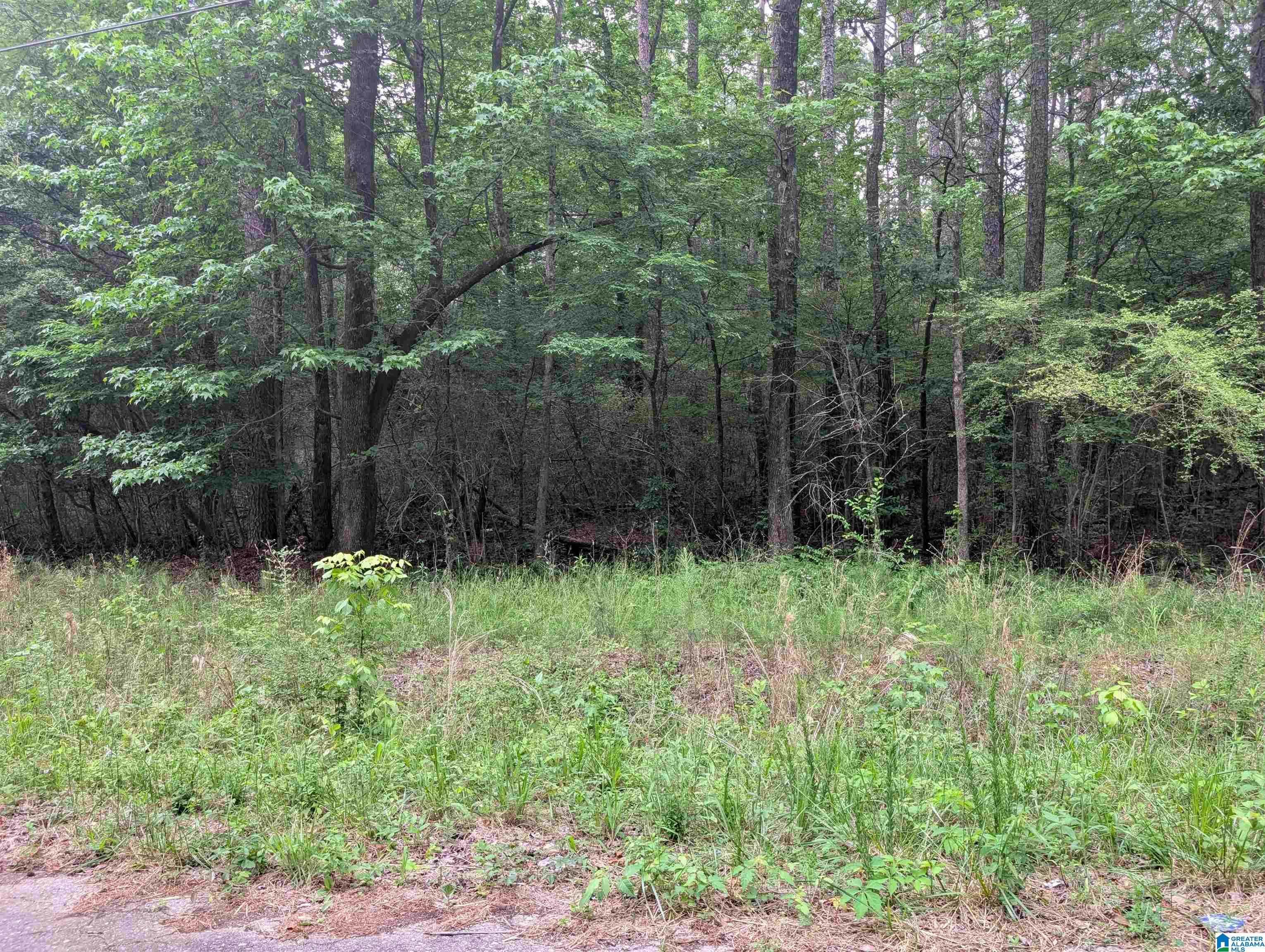 Photo 1 of Land for sale at 2920 Streeter Dr, Bessemer, AL 35023 | MLS# 21453633 | Listing updated on 2026-05-25