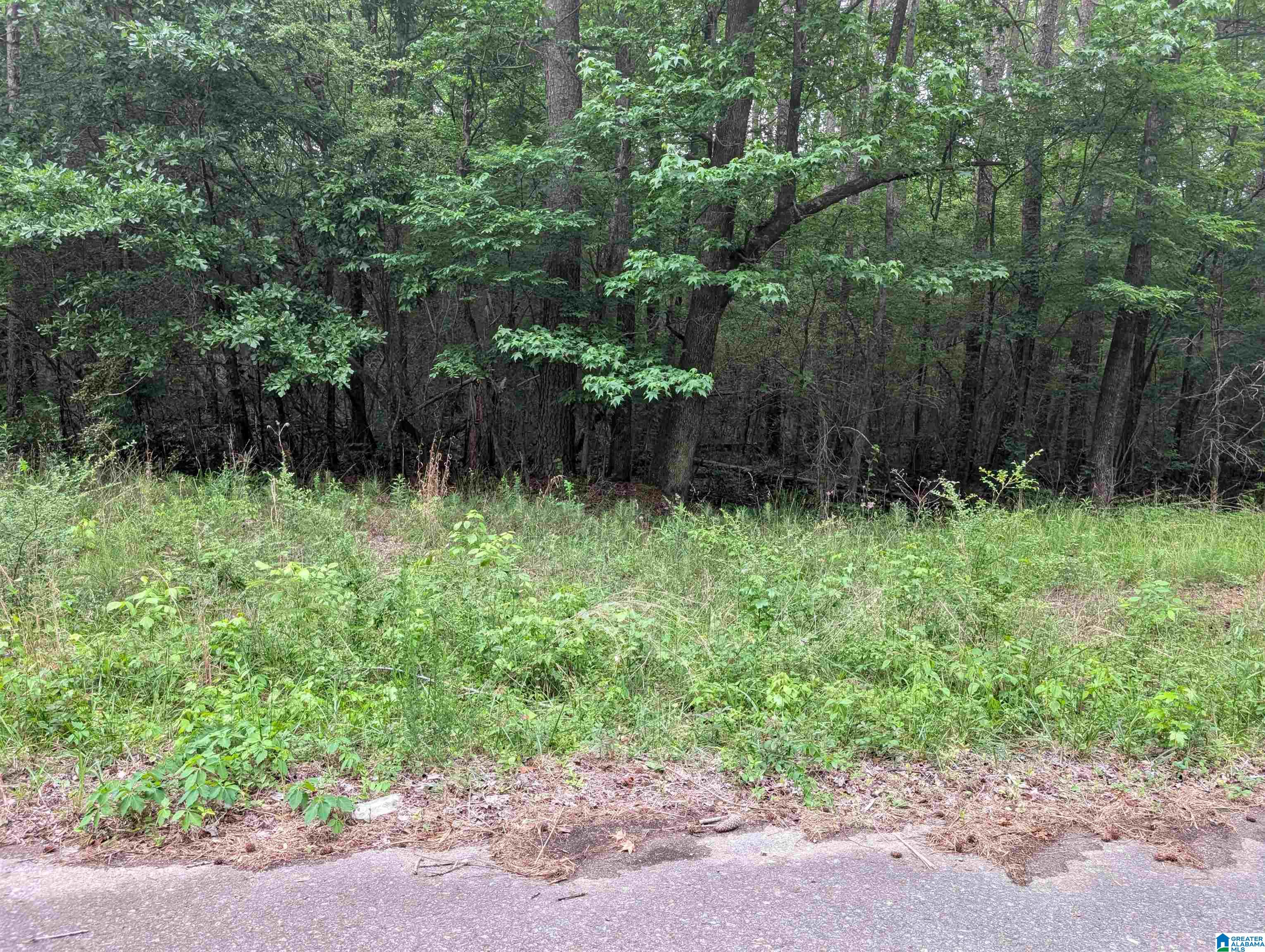 Photo 2 of Land for sale at 2920 Streeter Dr, Bessemer, AL 35023 | MLS# 21453633 | Listing updated on 2026-05-25