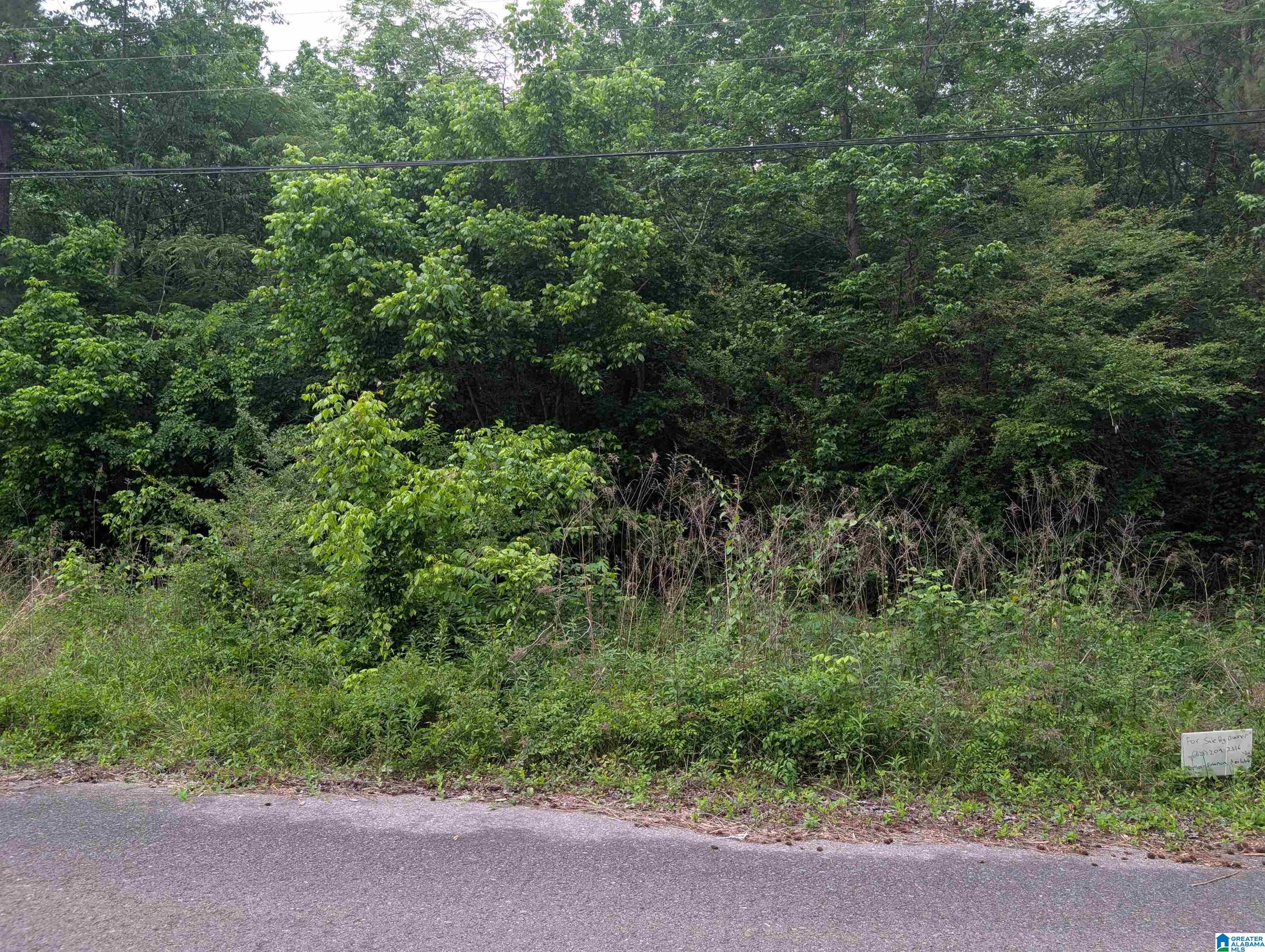 Photo 3 of Land for sale at 2920 Streeter Dr, Bessemer, AL 35023 | MLS# 21453633 | Listing updated on 2026-05-25