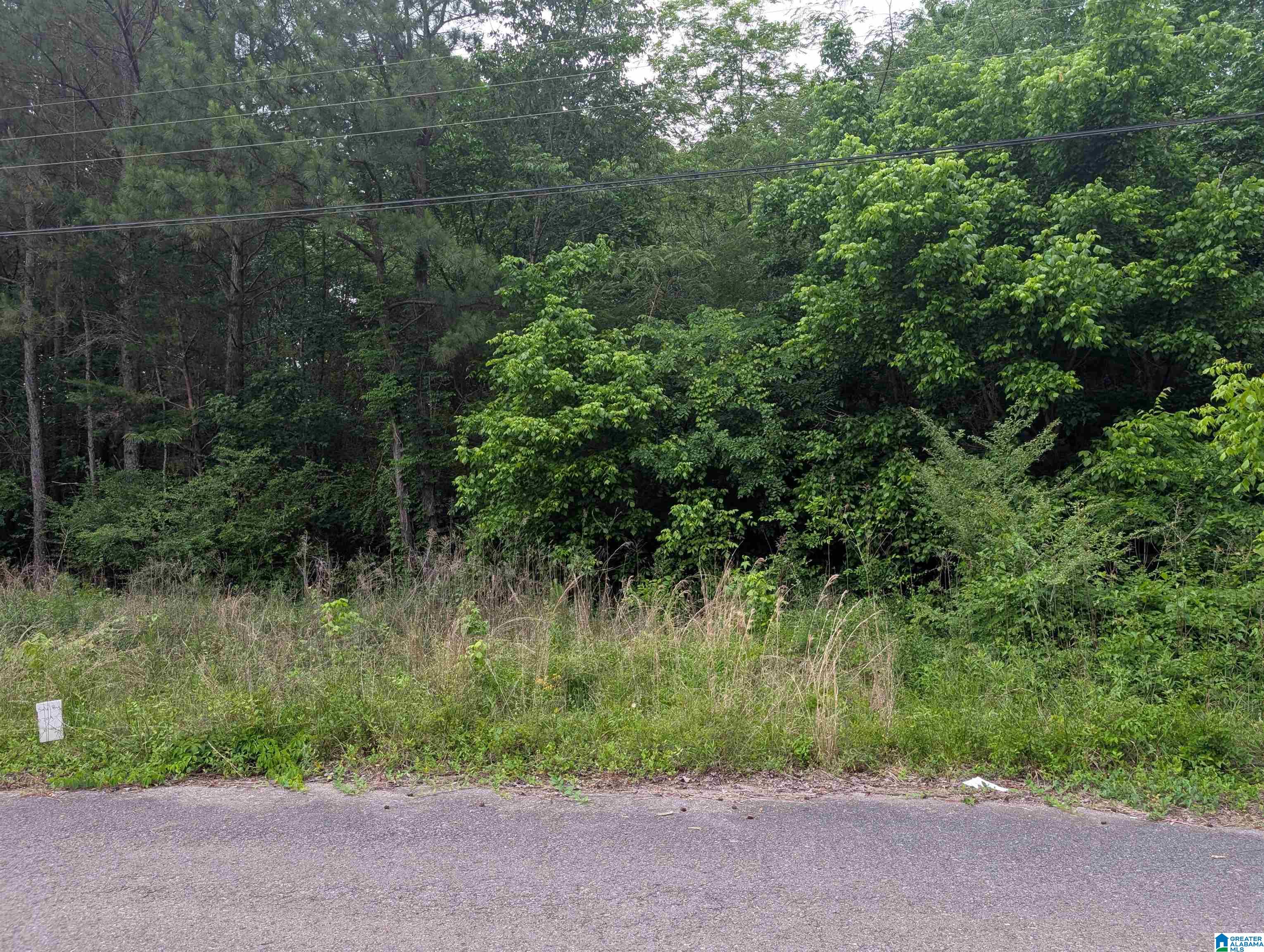 Photo 3 of Land for sale at 2920 Streeter Dr, Bessemer, AL 35023 | MLS# 21453633 | Listing updated on 2026-05-25