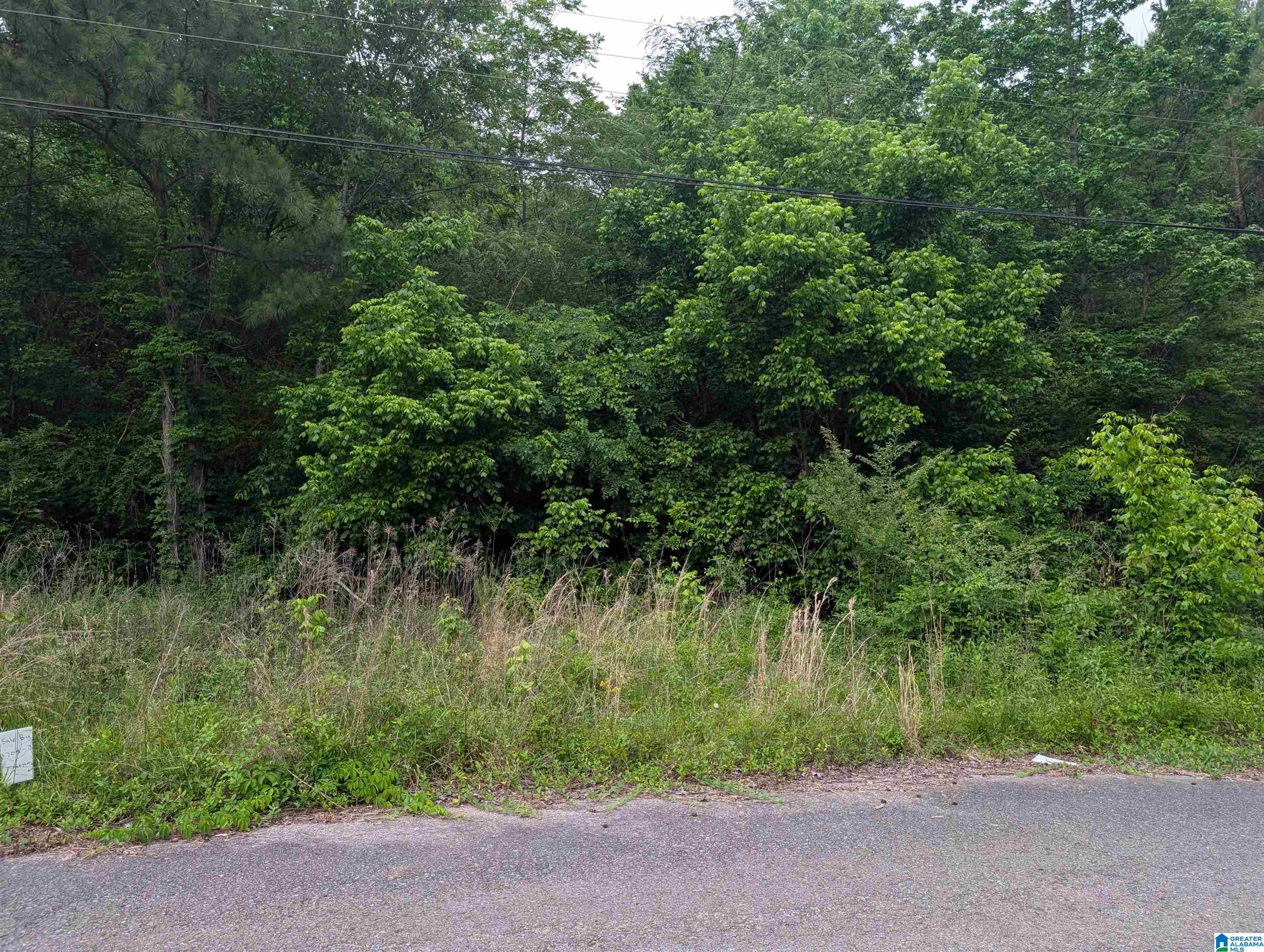 Photo 4 of Land for sale at 2920 Streeter Dr, Bessemer, AL 35023 | MLS# 21453633 | Listing updated on 2026-05-25