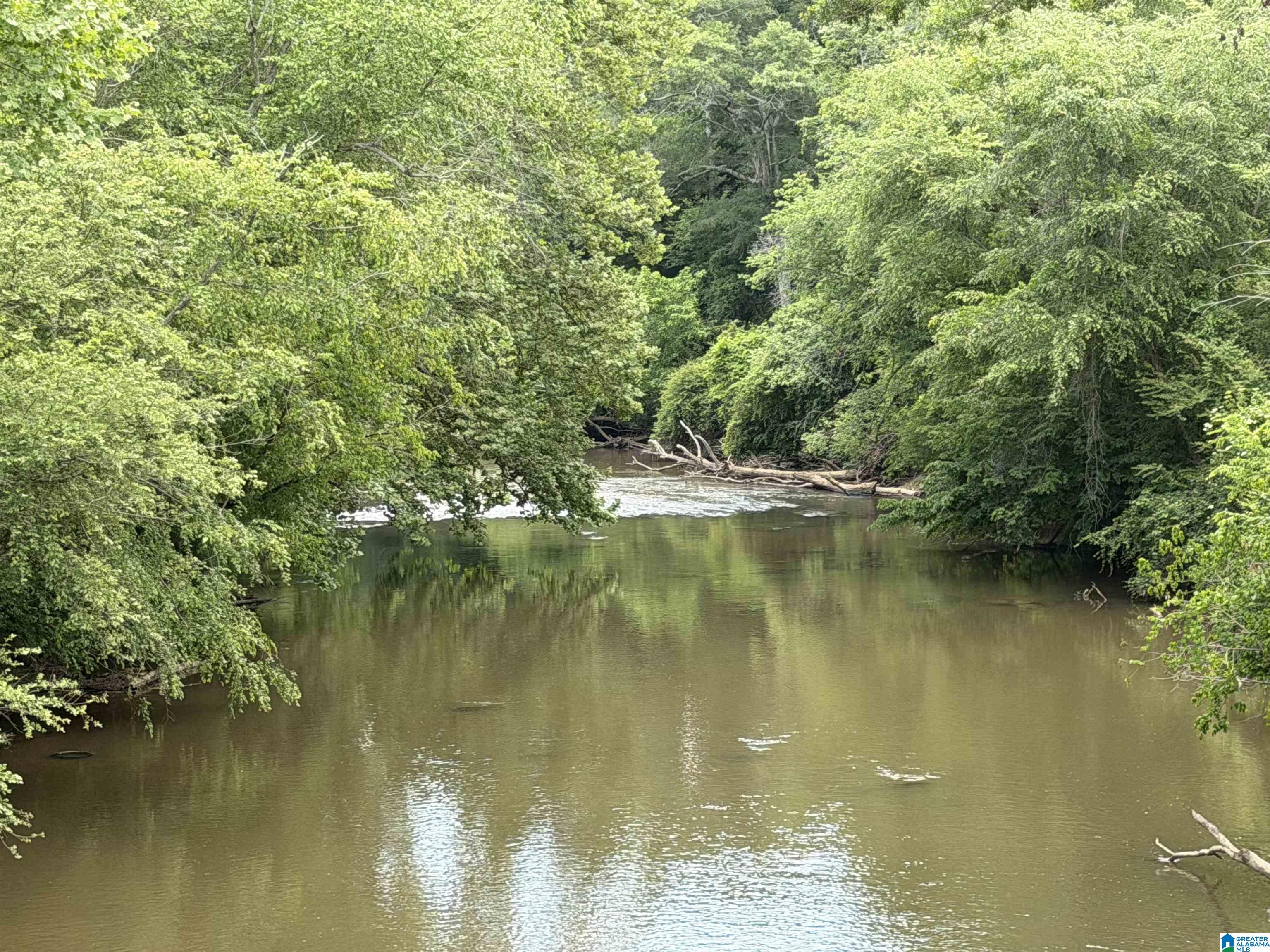 Photo 1 of Land for sale at 0 County Rd 509, Woodland, AL 36280 | MLS# 21453653 | Listing updated on 2026-07-27