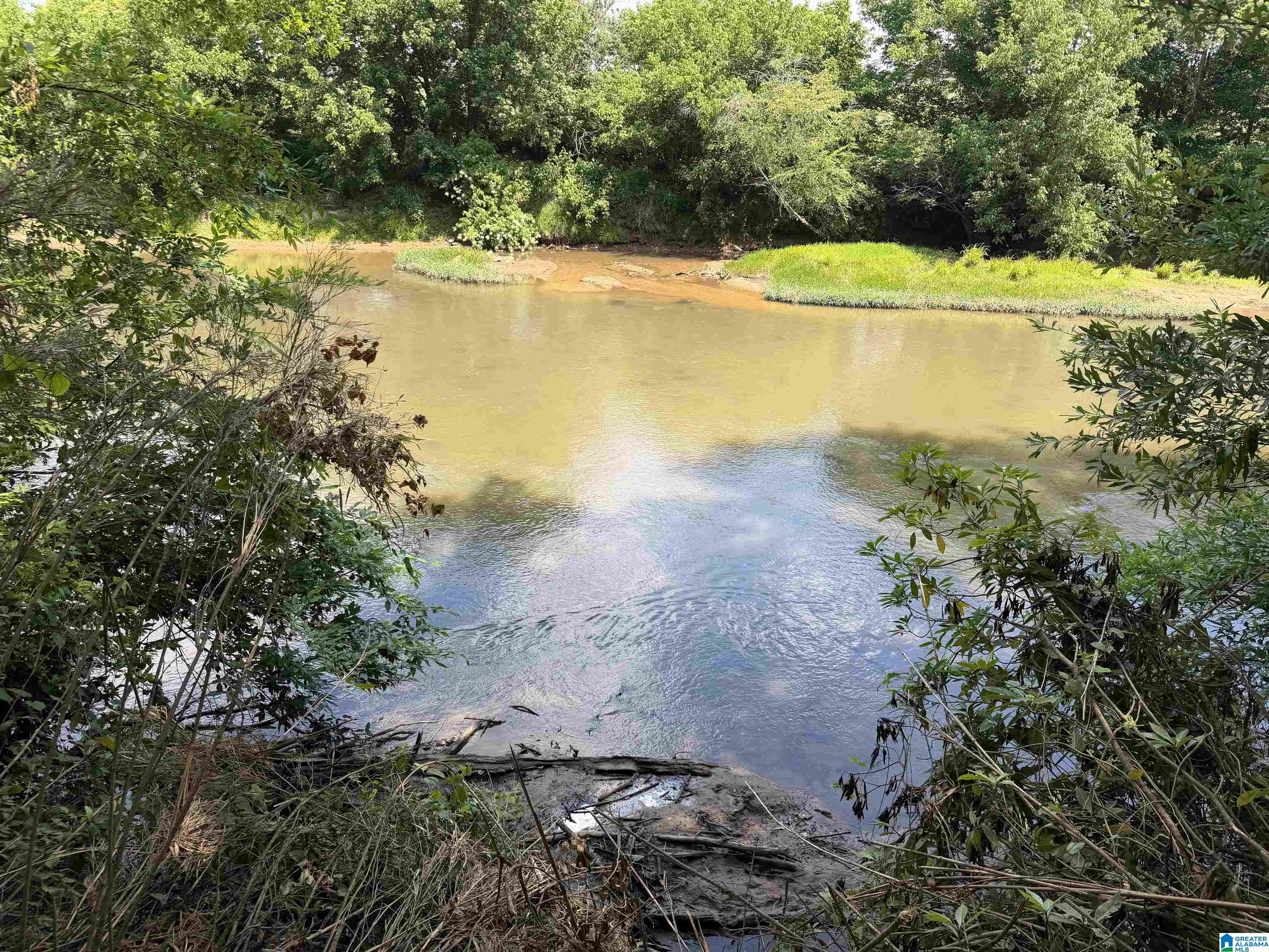 Photo 2 of Land for sale at 0 County Rd 509, Woodland, AL 36280 | MLS# 21453653 | Listing updated on 2026-07-27