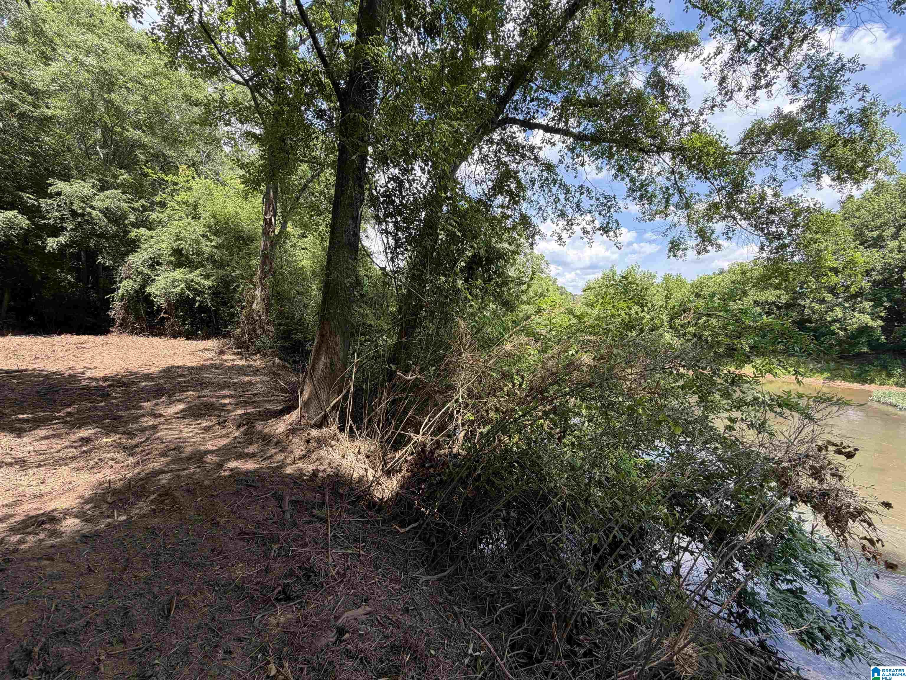 Photo 3 of Land for sale at 0 County Rd 509, Woodland, AL 36280 | MLS# 21453653 | Listing updated on 2026-07-27