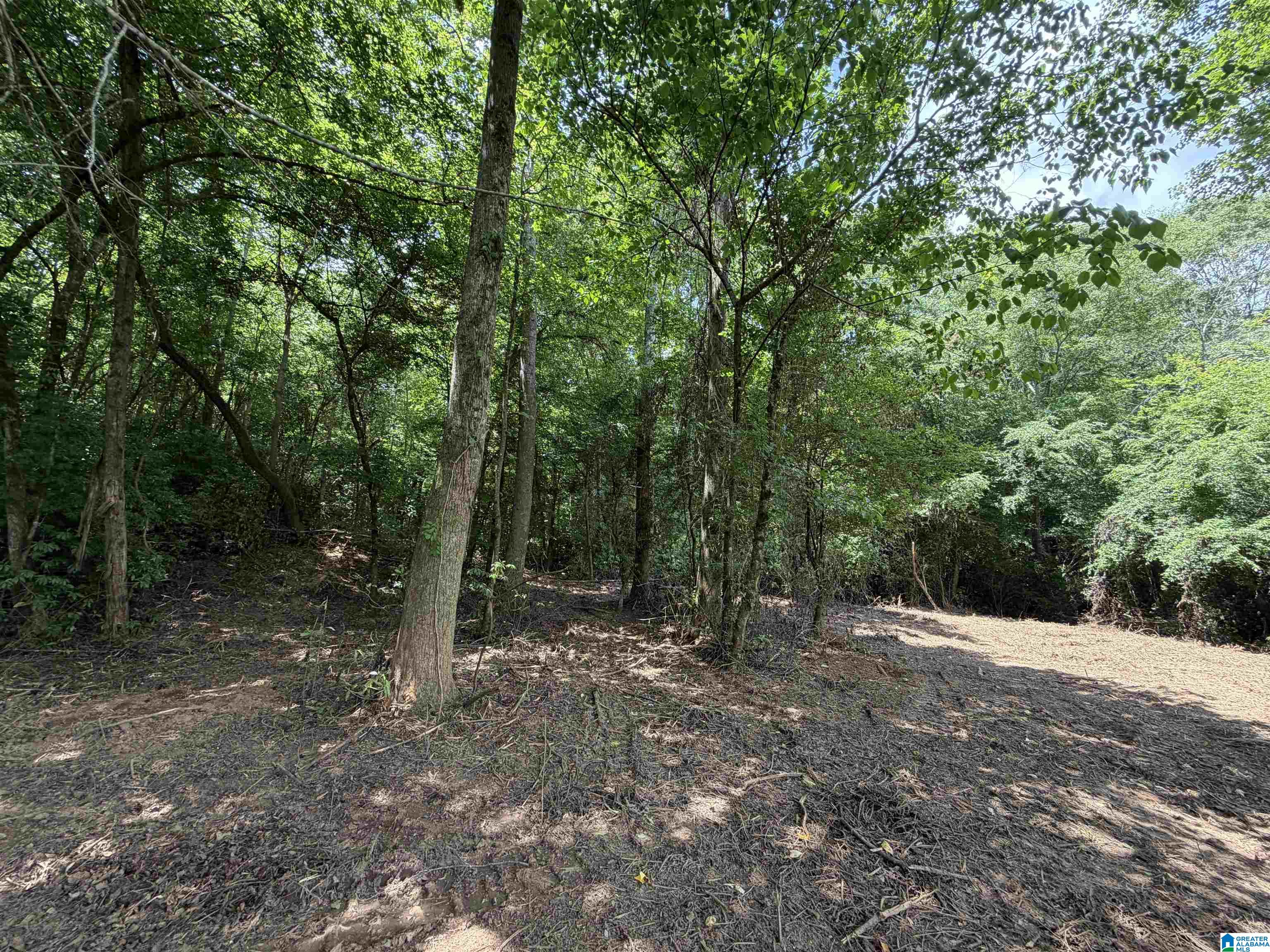 Photo 3 of Land for sale at 0 County Rd 509, Woodland, AL 36280 | MLS# 21453653 | Listing updated on 2026-07-27