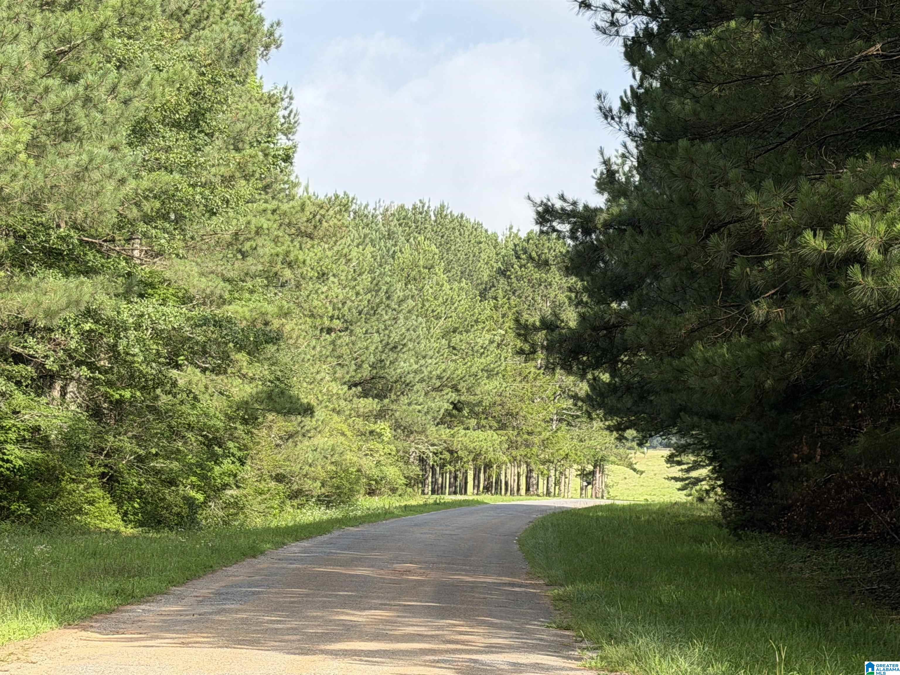 Photo 4 of Land for sale at 0 County Rd 509, Woodland, AL 36280 | MLS# 21453653 | Listing updated on 2026-07-27
