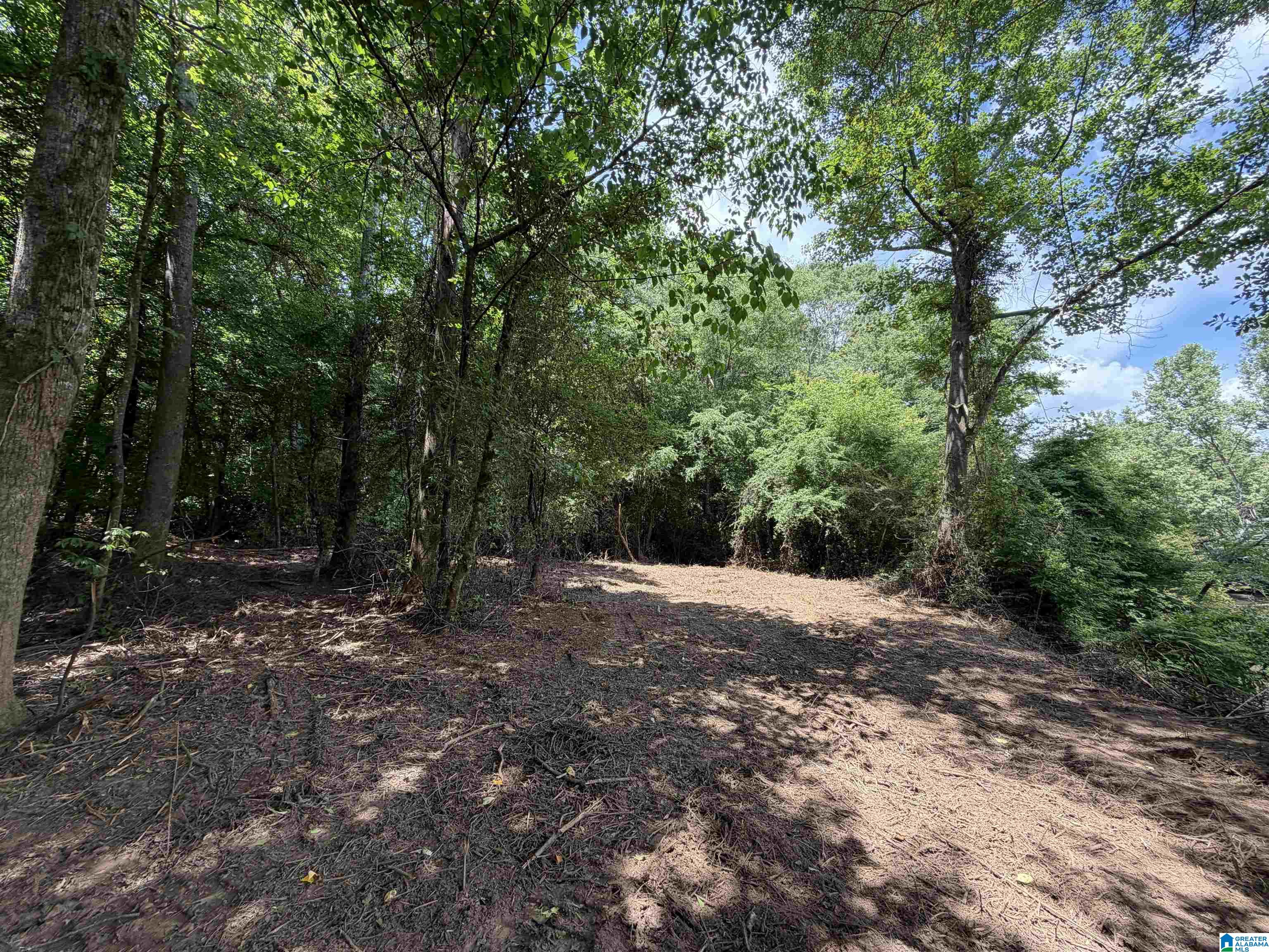Homes for sale in Woodland, AL | 0 County Road 509, Woodland, AL 36280 | MLS# 21453654
