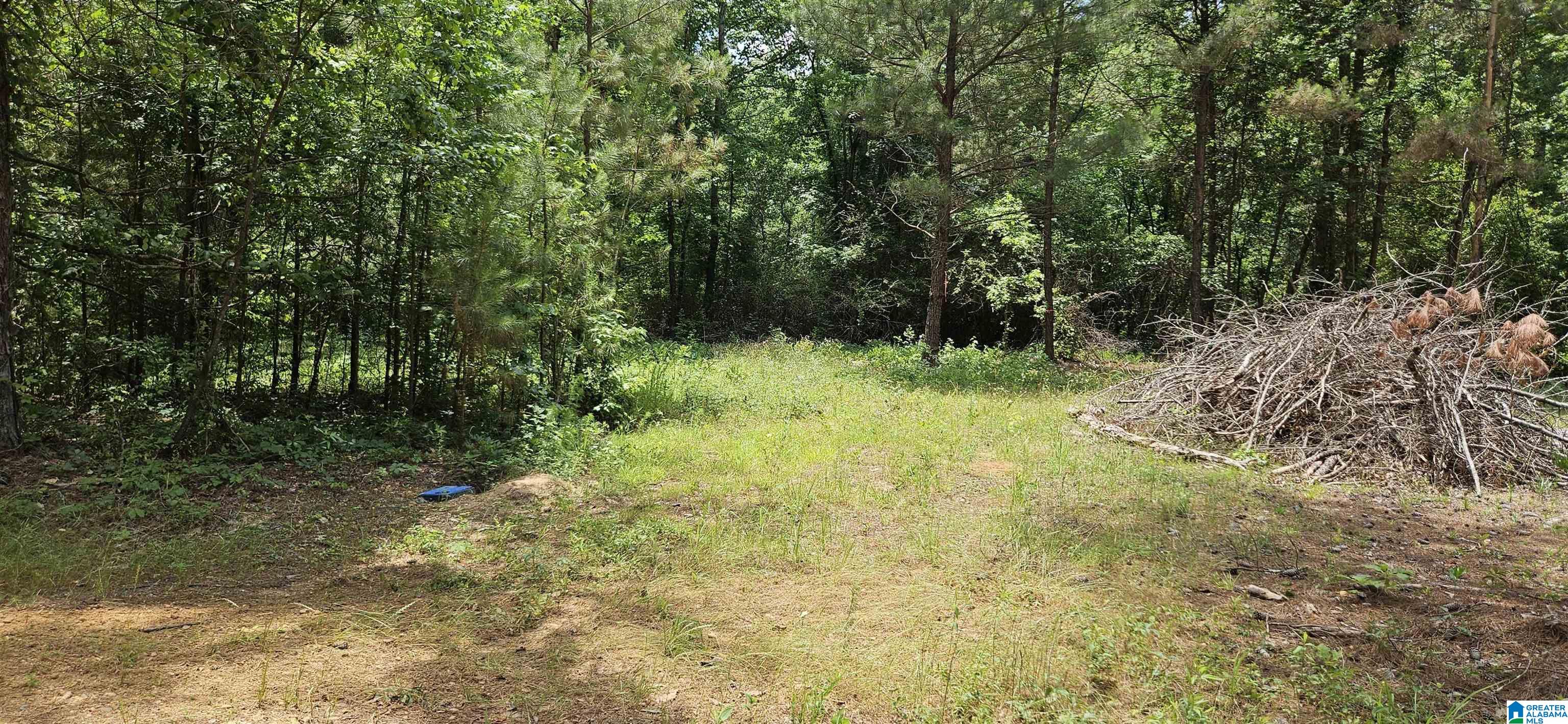 Homes for sale in Maplesville, AL | 2304 Co Road, Maplesville, AL 36750 | MLS# 21453695