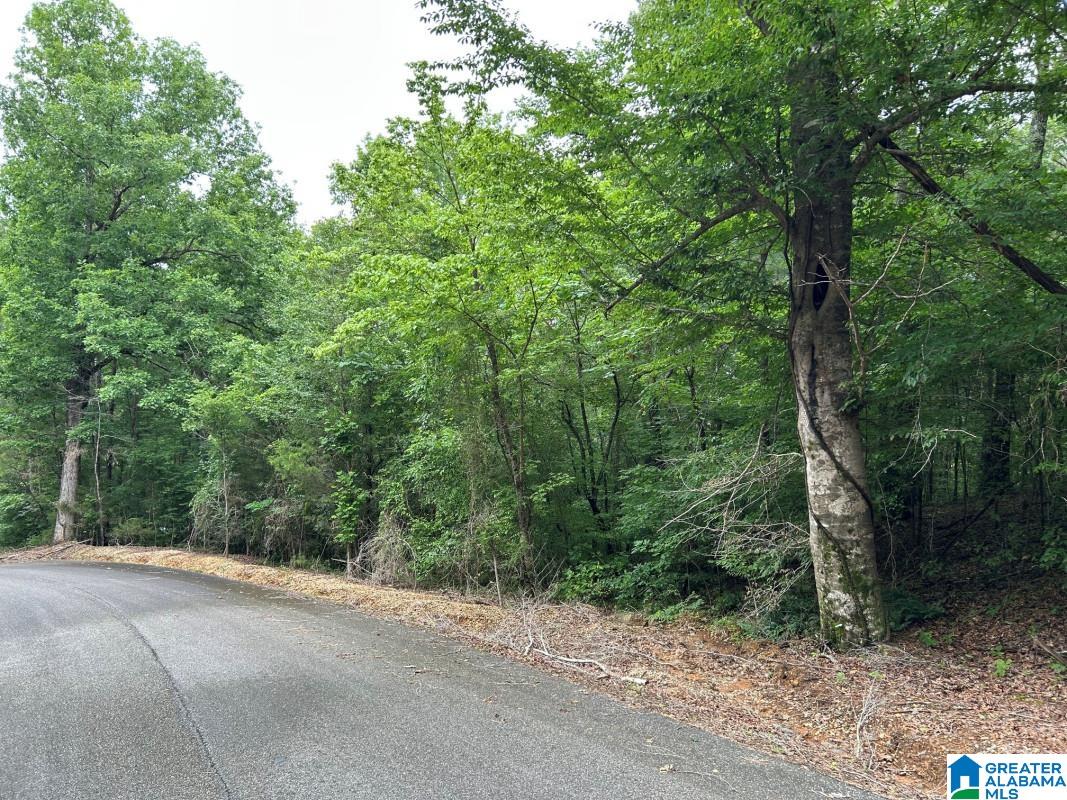 Photo 3 of Land for sale at 11306 Joe Namath Rd, Northport, AL 35475 | MLS# 21453699 | Listing updated on 2026-09-10