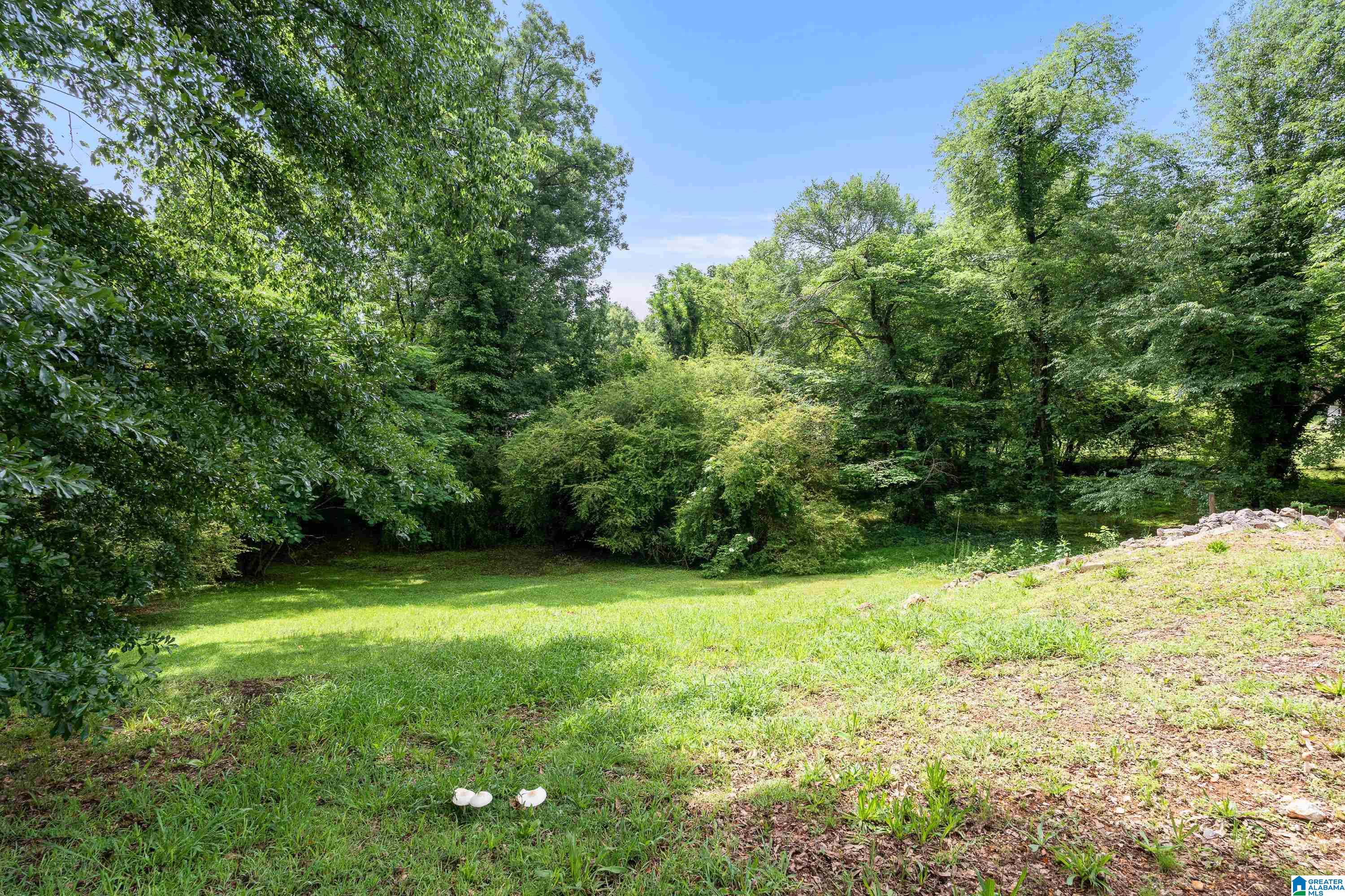 Homes for sale in Birmingham, AL | 401 Esplanade Dr, Birmingham, AL 35206 | MLS# 21453727