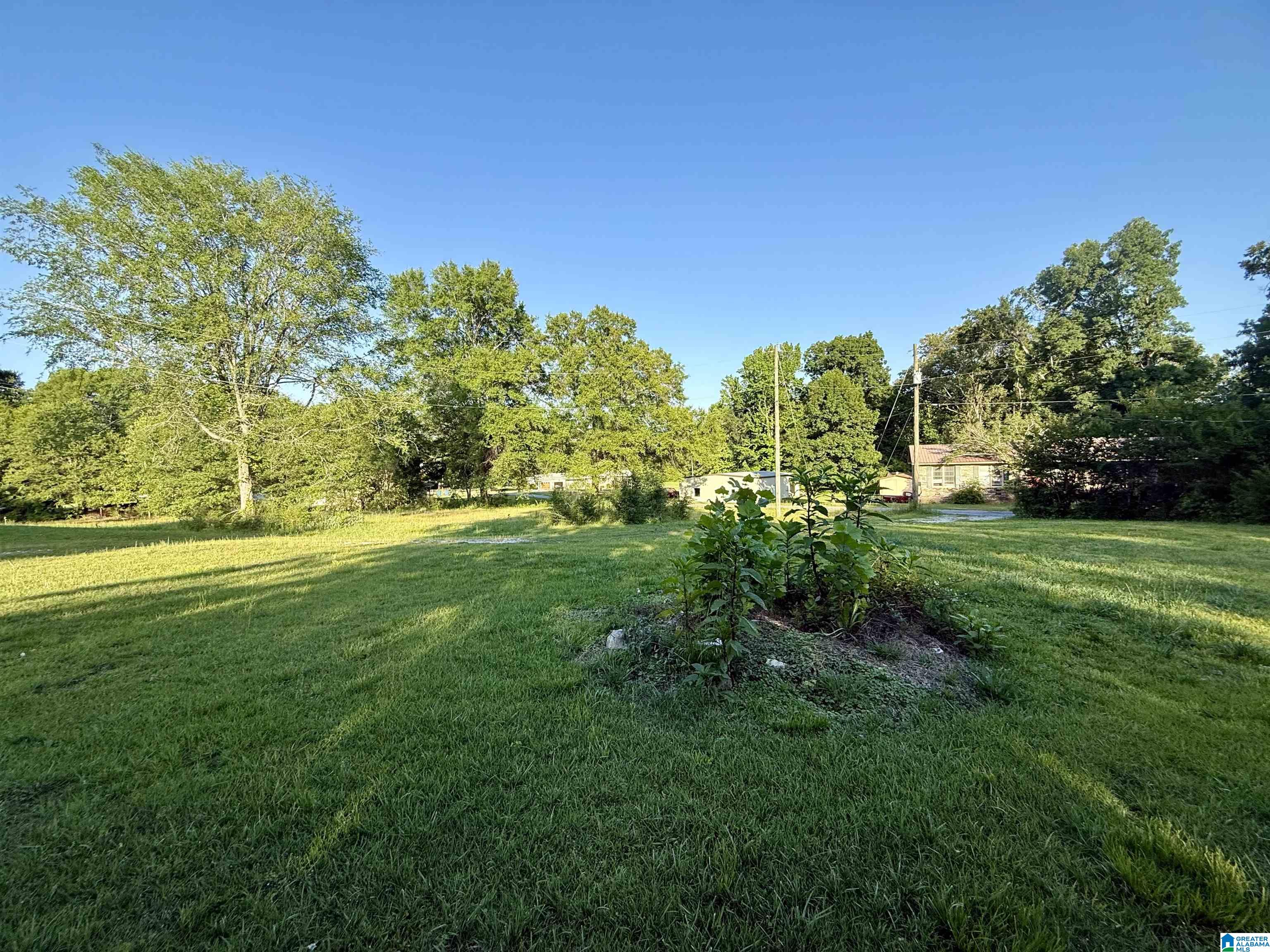 Homes for sale in Sylacauga, AL | 498 Wood Road, Sylacauga, AL 35151 | MLS# 21453738