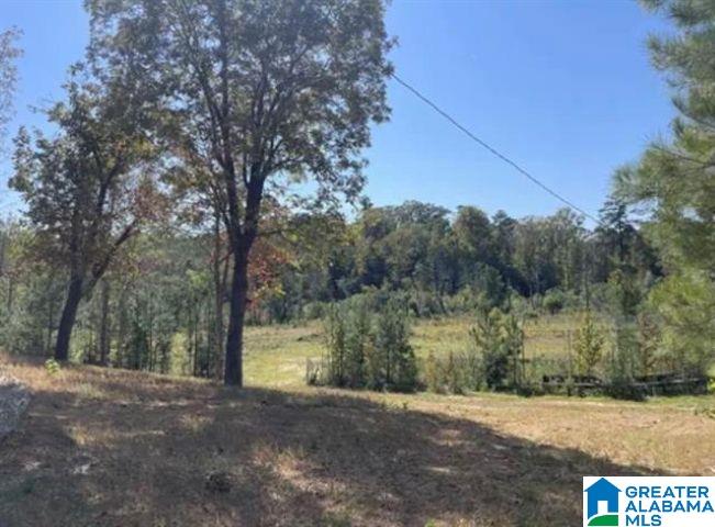Homes for sale in West Blocton, AL | Hill Creek Dr, West Blocton, AL 35184 | MLS# 21453780