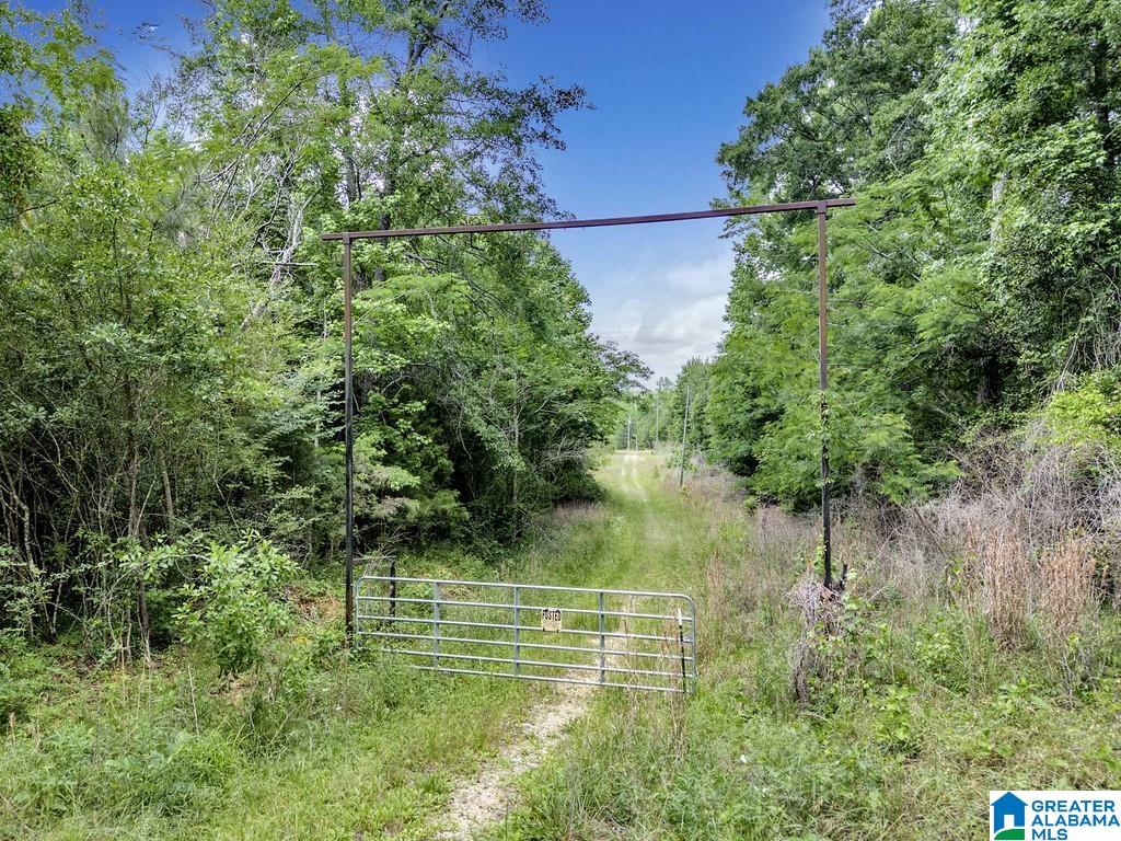 Homes for sale in West Blocton, AL | Hill Creek Dr, West Blocton, AL 35184 | MLS# 21453780