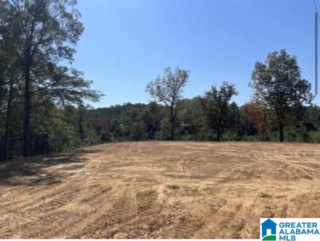 Homes for sale in West Blocton, AL | Hill Creek Dr, West Blocton, AL 35184 | MLS# 21453780