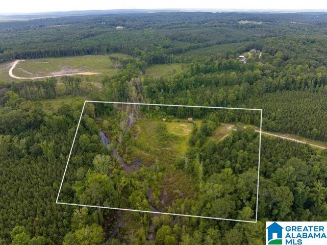 Homes for sale in West Blocton, AL | Hill Creek Dr, West Blocton, AL 35184 | MLS# 21453780