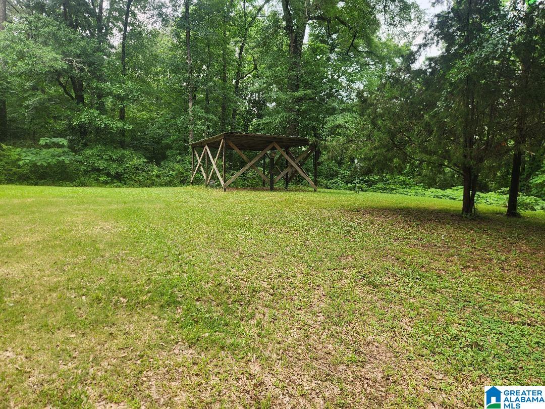 Homes for sale in Mount Olive, AL | 1480 Franklin Street, Mount Olive, AL 35117 | MLS# 21453807