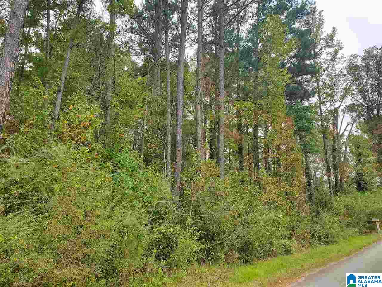 Photo 2 of Land for sale at 3784 Hilltop Rd, Bessemer, AL 35022 | MLS# 21453889 | Listing updated on 2026-05-22