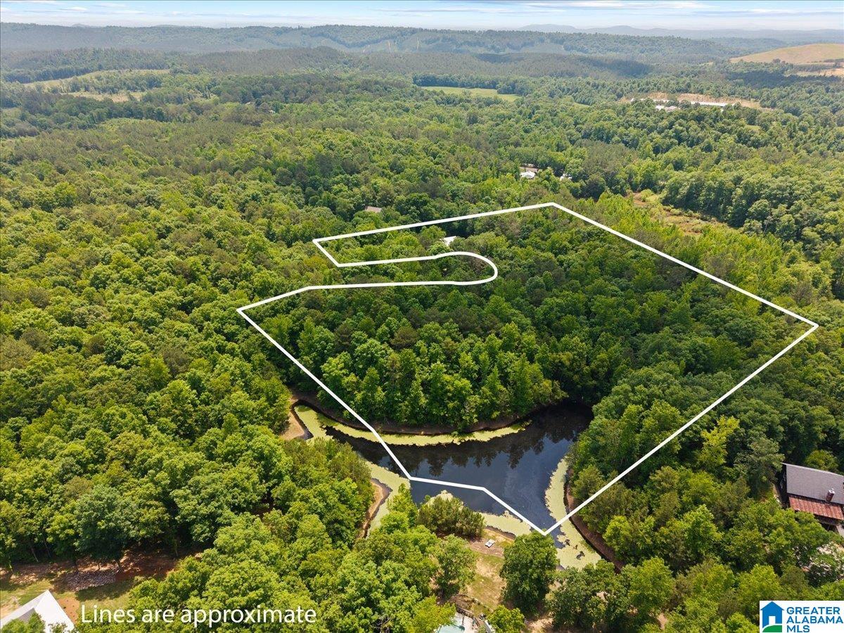 Homes for sale in Ragland, AL | 375 Turkey Run, Ragland, AL 35131 | MLS# 21453934