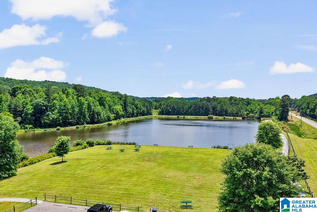 2nd image of 2217 Forest Lakes Lane, Sterrett, AL 35147 | MLS# 21453982
