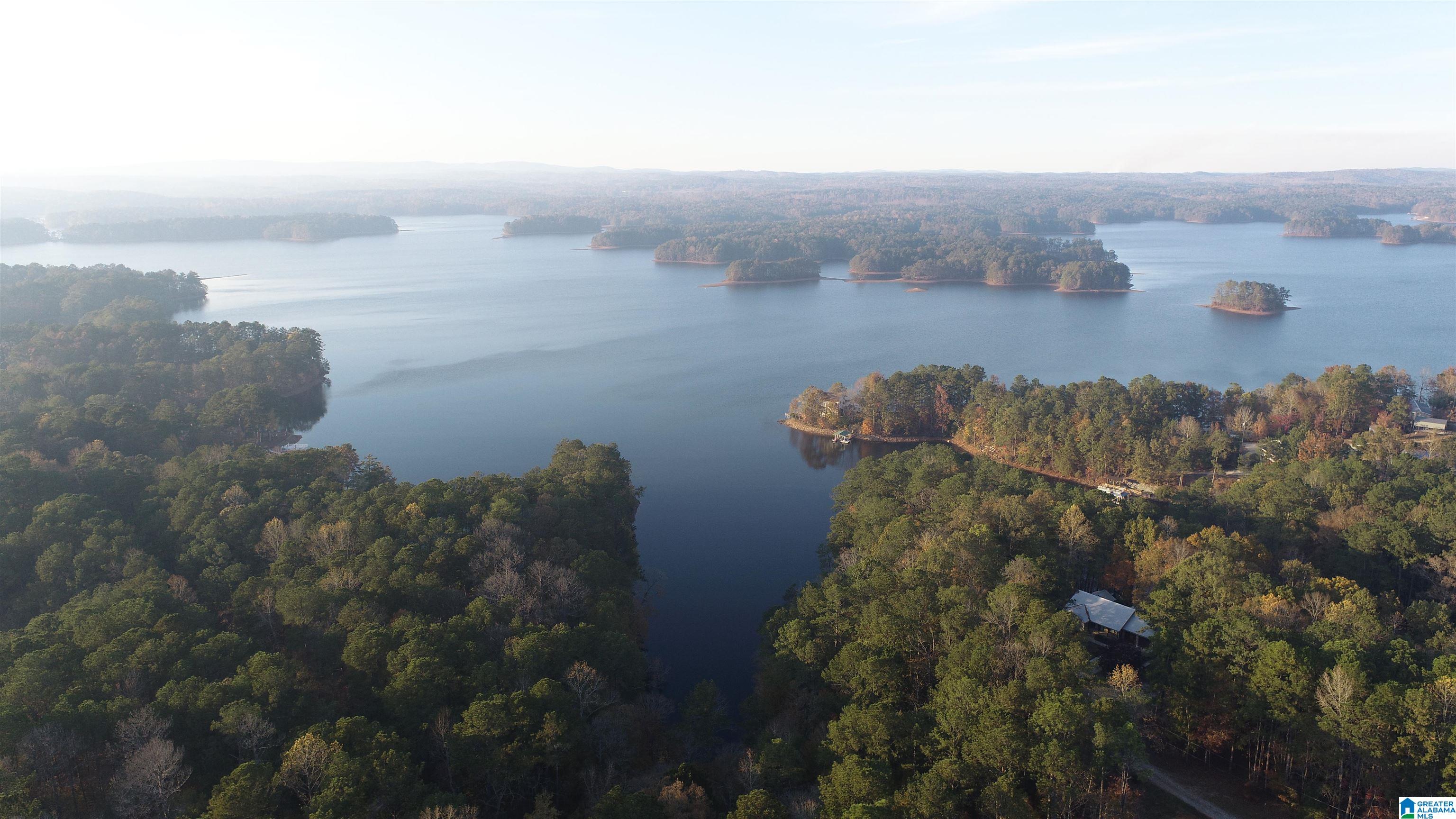 Homes for sale in Wedowee, AL | 5 County Road 804, Wedowee, AL 36278 | MLS# 21454047
