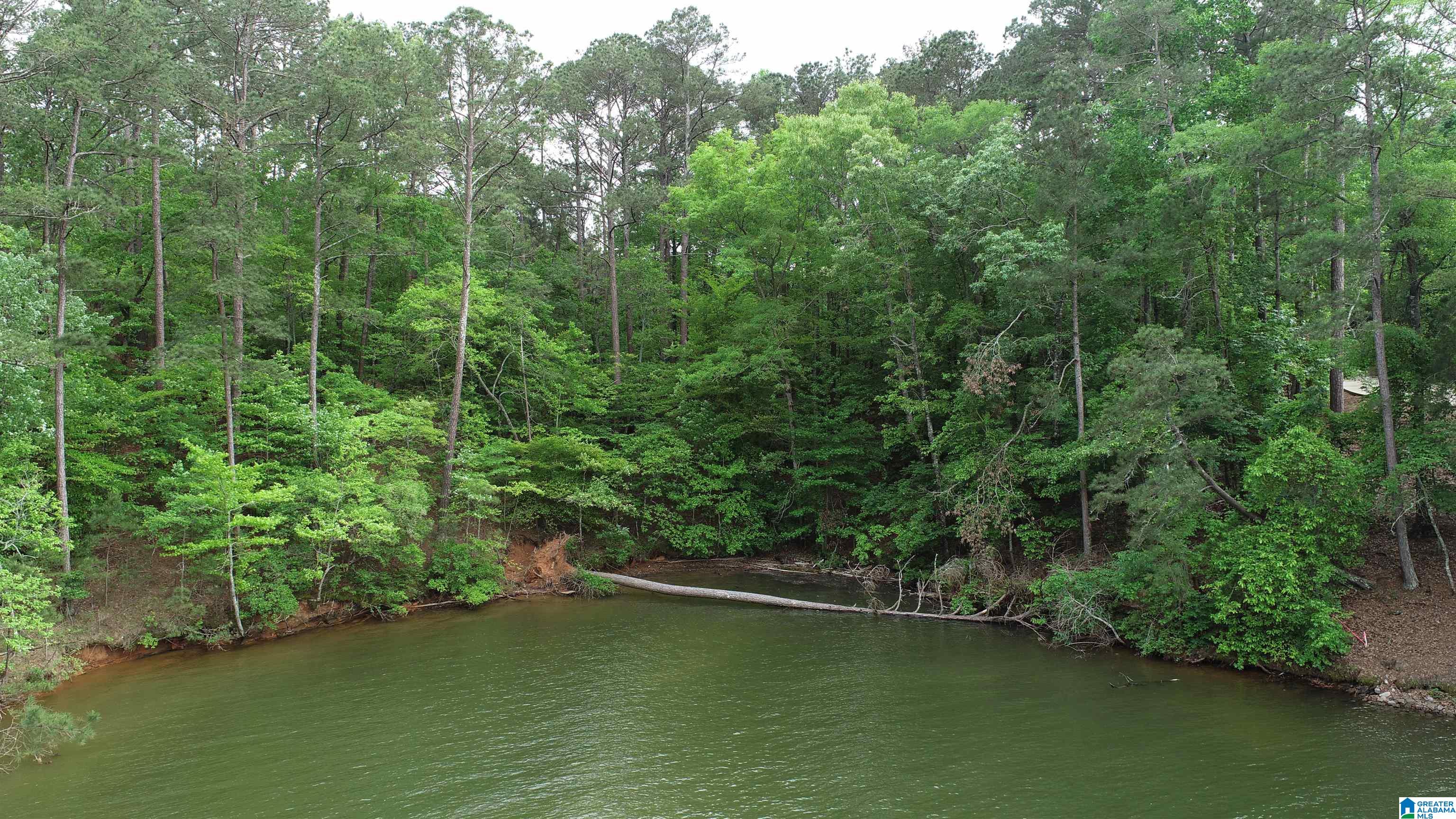 Homes for sale in Wedowee, AL | 6 County Road 804, Wedowee, AL 36278 | MLS# 21454066