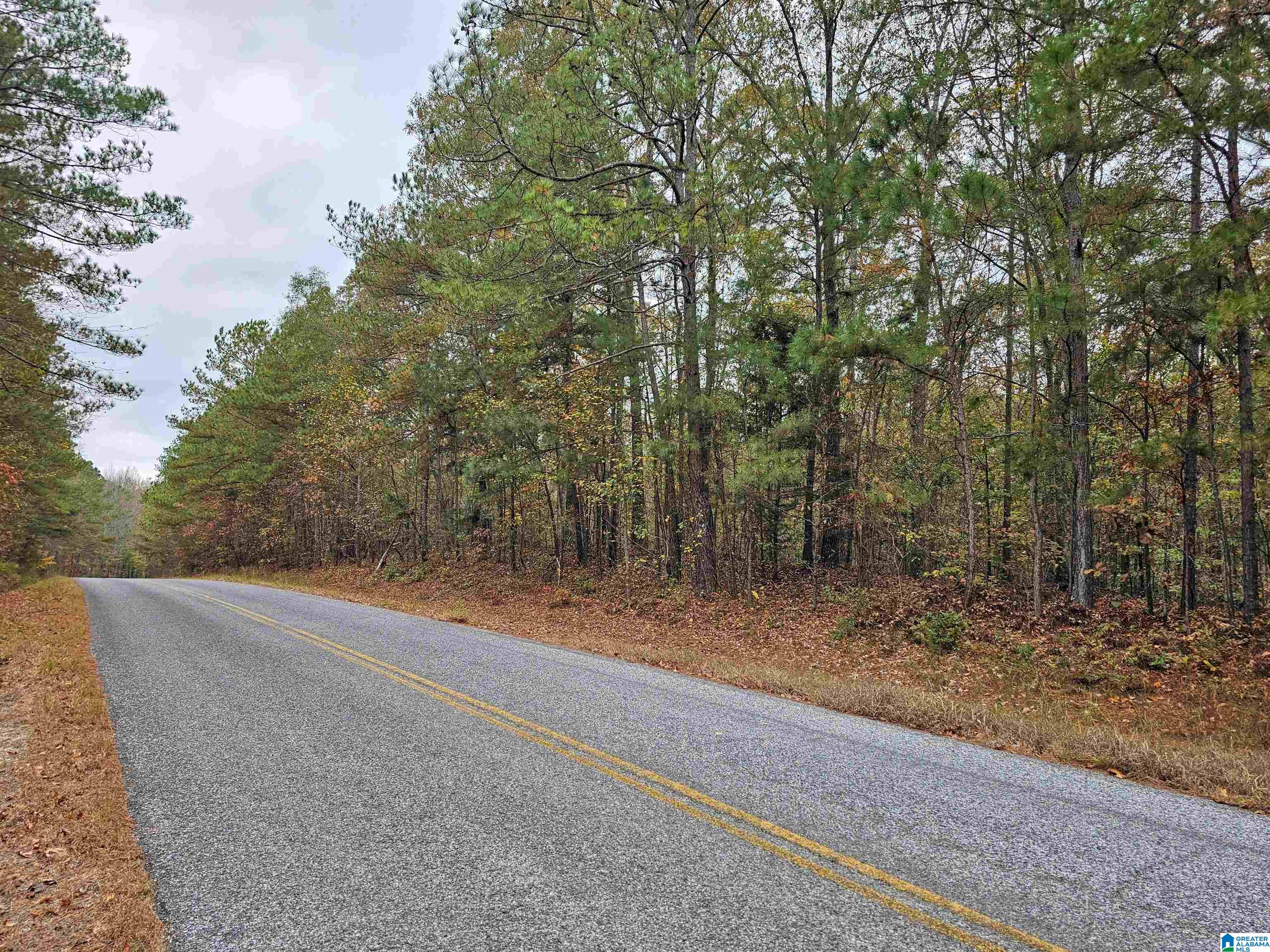 2nd image of Unkn County Road 60, Heflin, AL 36264 | MLS# 21454238
