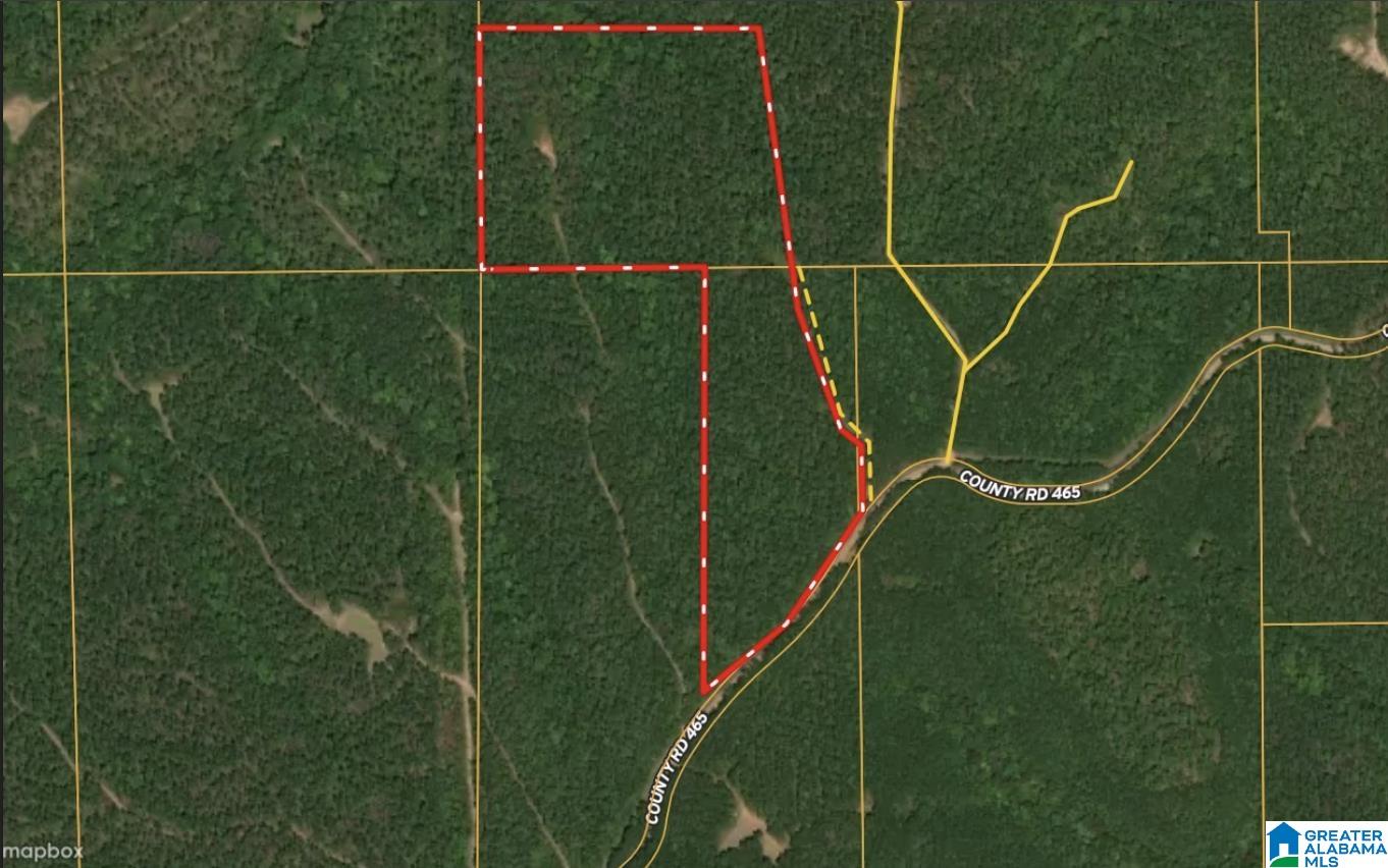 0 COUNTY ROAD 465