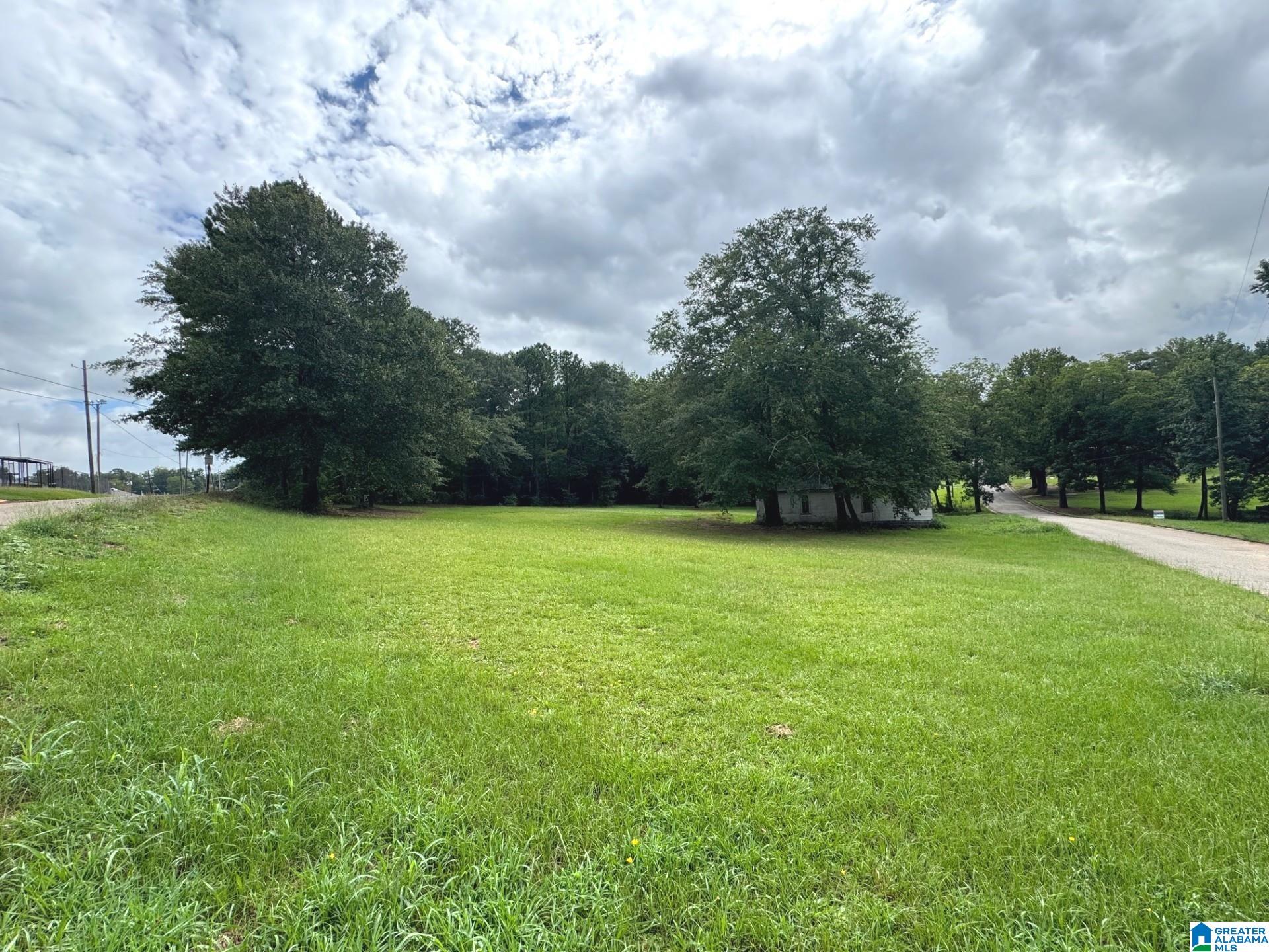 Homes for sale in Ashland, AL | 5th Avenue, Ashland, AL 36251 | MLS# 21454348