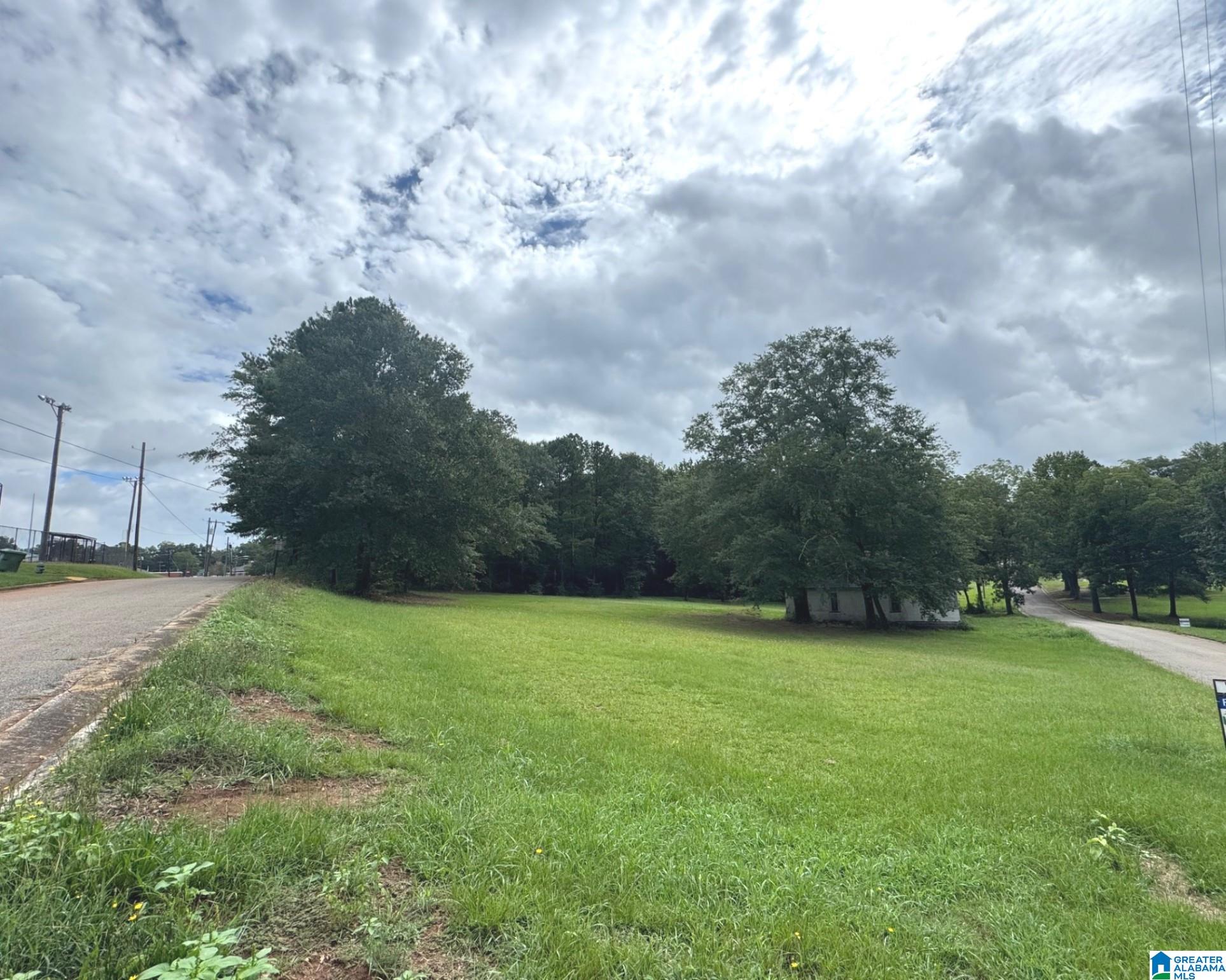 Homes for sale in Ashland, AL | 5Th Avenue, Ashland, AL 36251 | MLS# 21454348