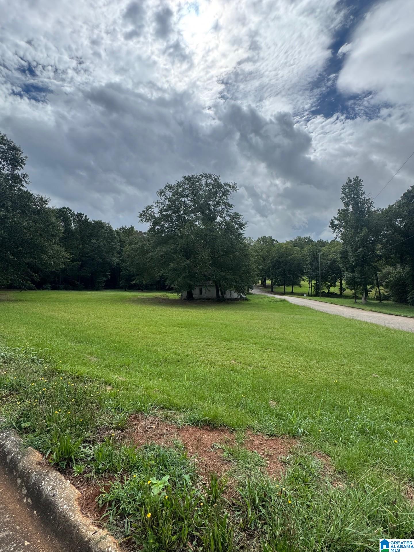 Homes for sale in Ashland, AL | 5Th Avenue, Ashland, AL 36251 | MLS# 21454348