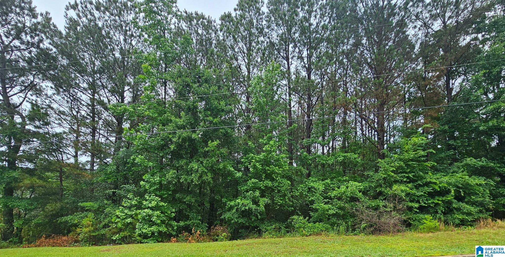 Lot 32 MAYNOR LANE